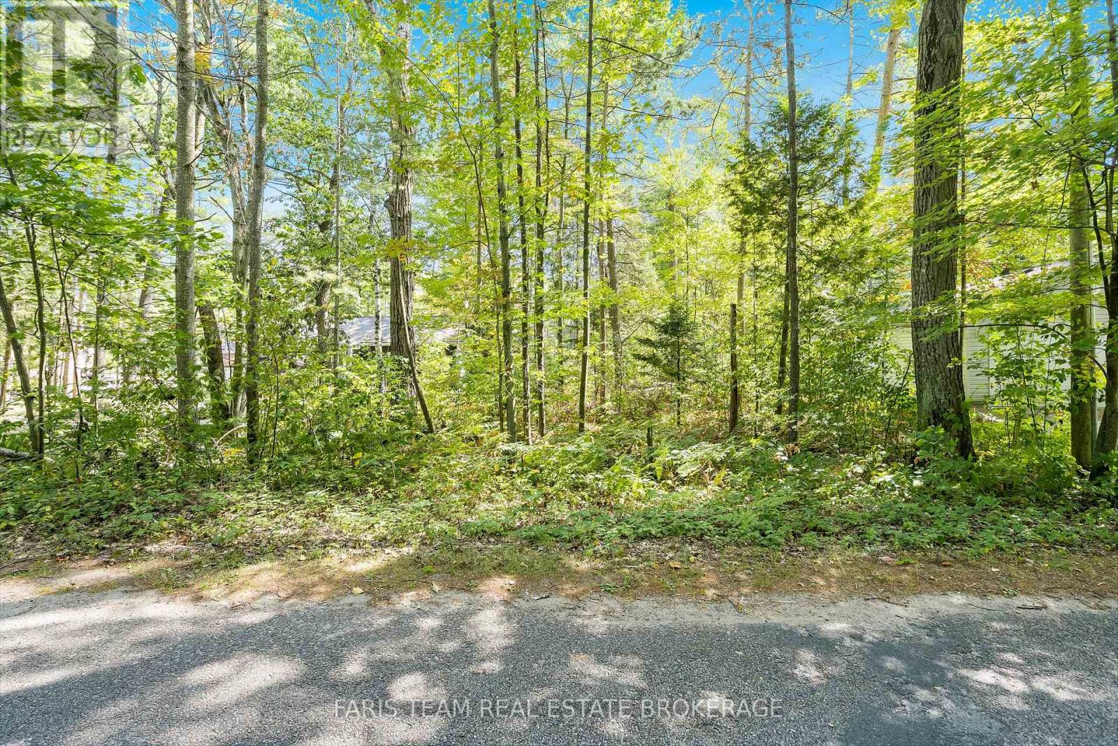 Lot 9 James Street, Tiny, Ontario  L0L 1P0 - Photo 11 - S13094764