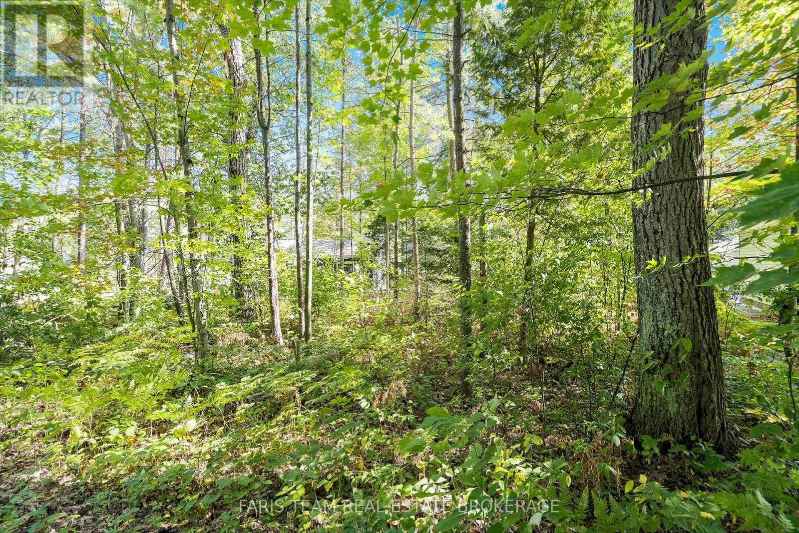Lot 9 James Street, Tiny, Ontario  L0L 1P0 - Photo 12 - S13094764