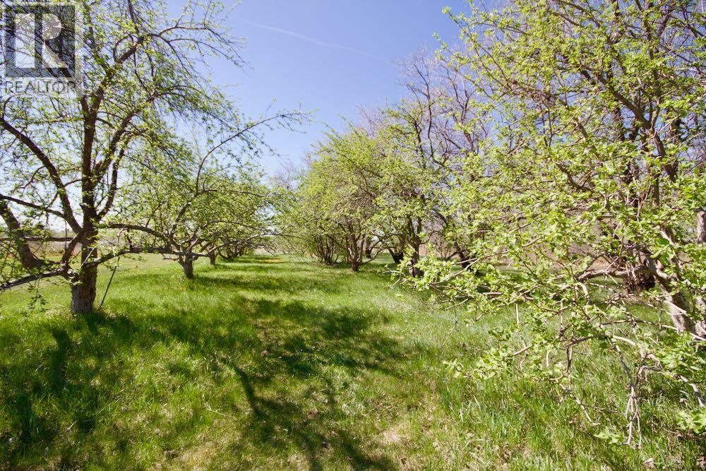 12107a Range Road 60, Rural Cypress County, Alberta  T1A 7H0 - Photo 45 - A2304115