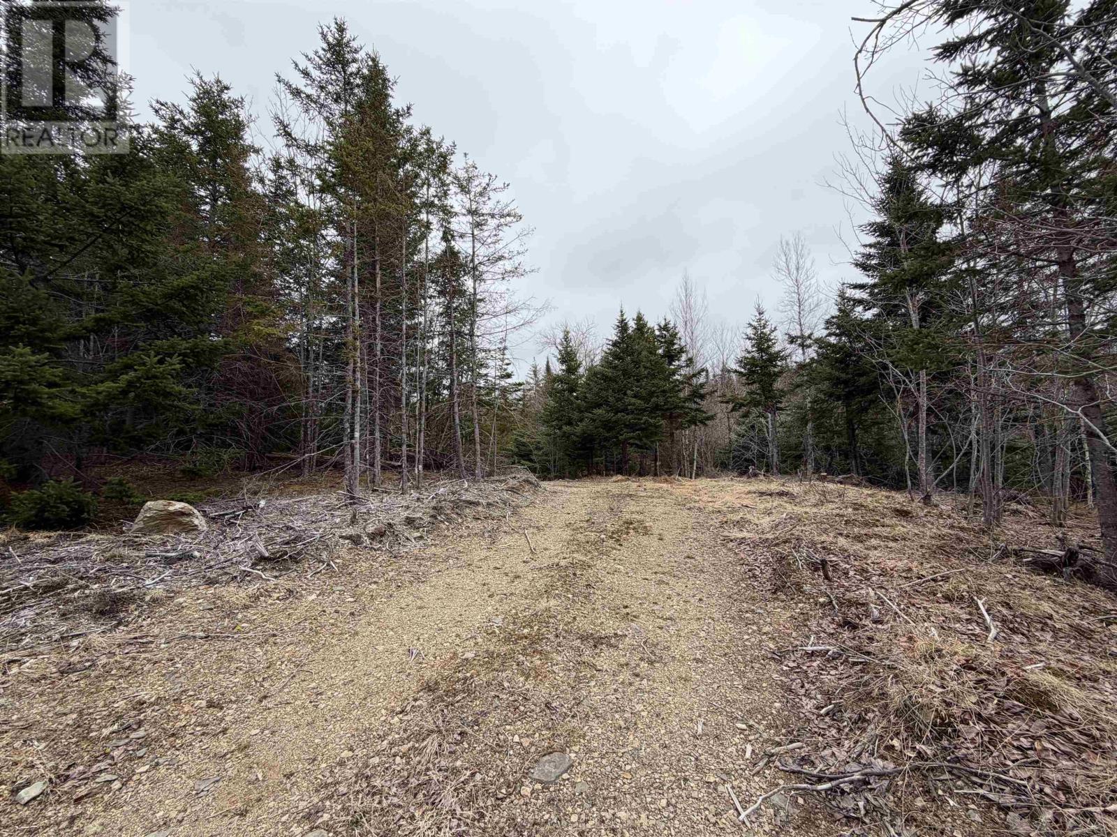 Lot 22-3 226 Brookville Branch Road, Bridgeville, Nova Scotia  B2H 5C7 - Photo 4 - 202227026