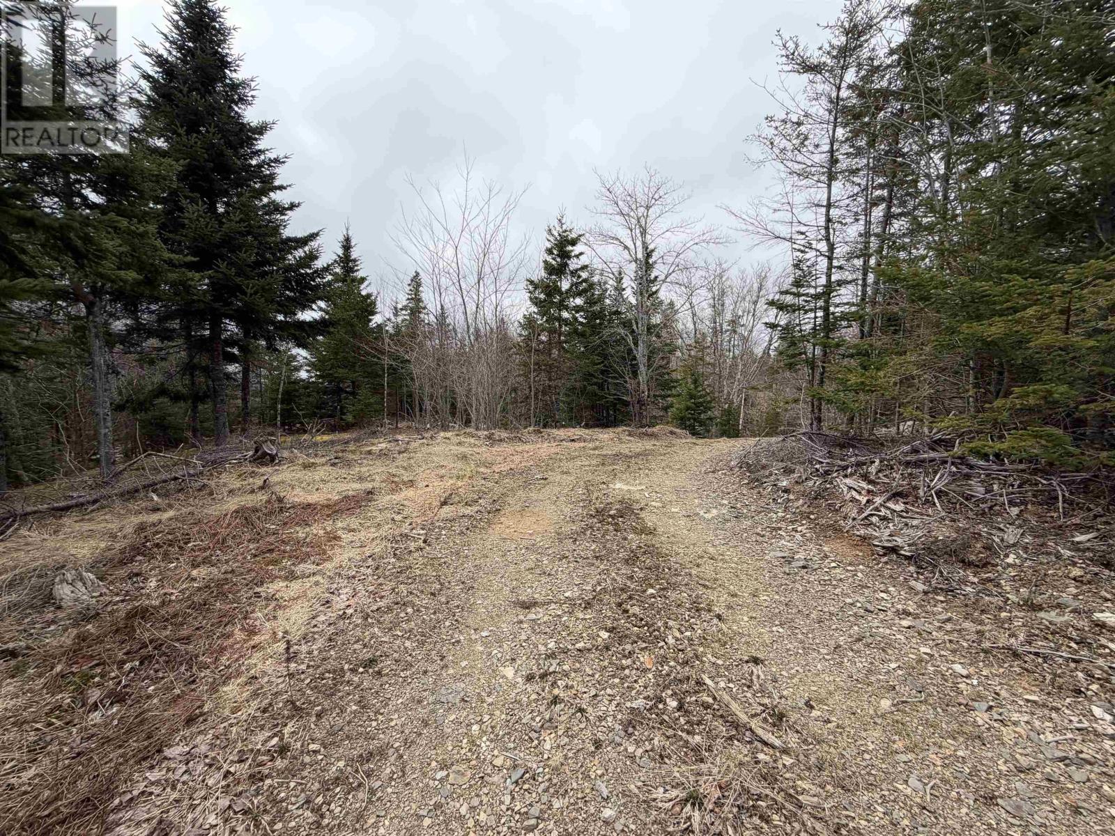 Lot 22-3 226 Brookville Branch Road, Bridgeville, Nova Scotia  B2H 5C7 - Photo 5 - 202227026