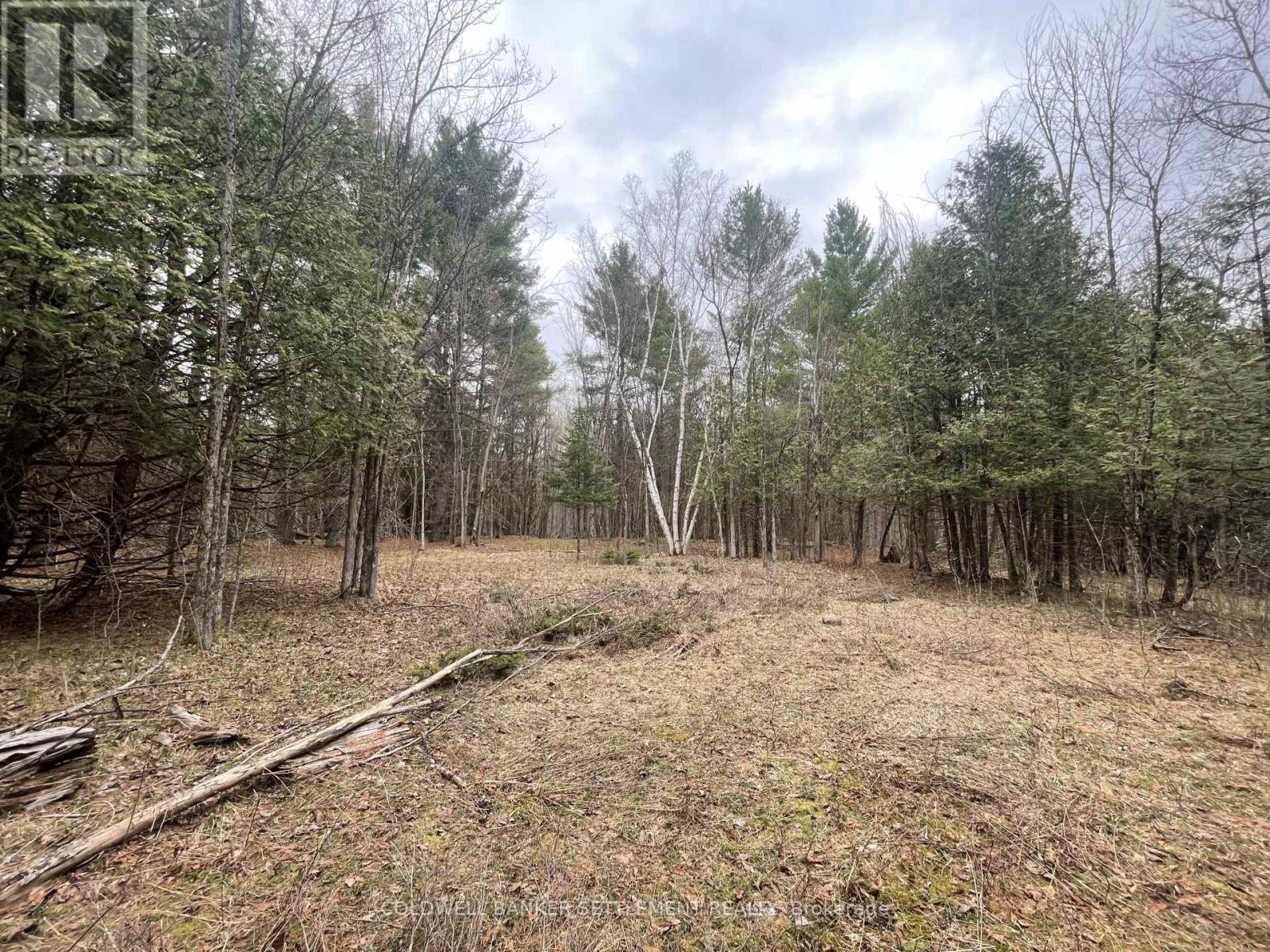 1008 Dalhousie 6a Concession, Lanark Highlands, Ontario  K0G 1K0 - Photo 1 - X13095146