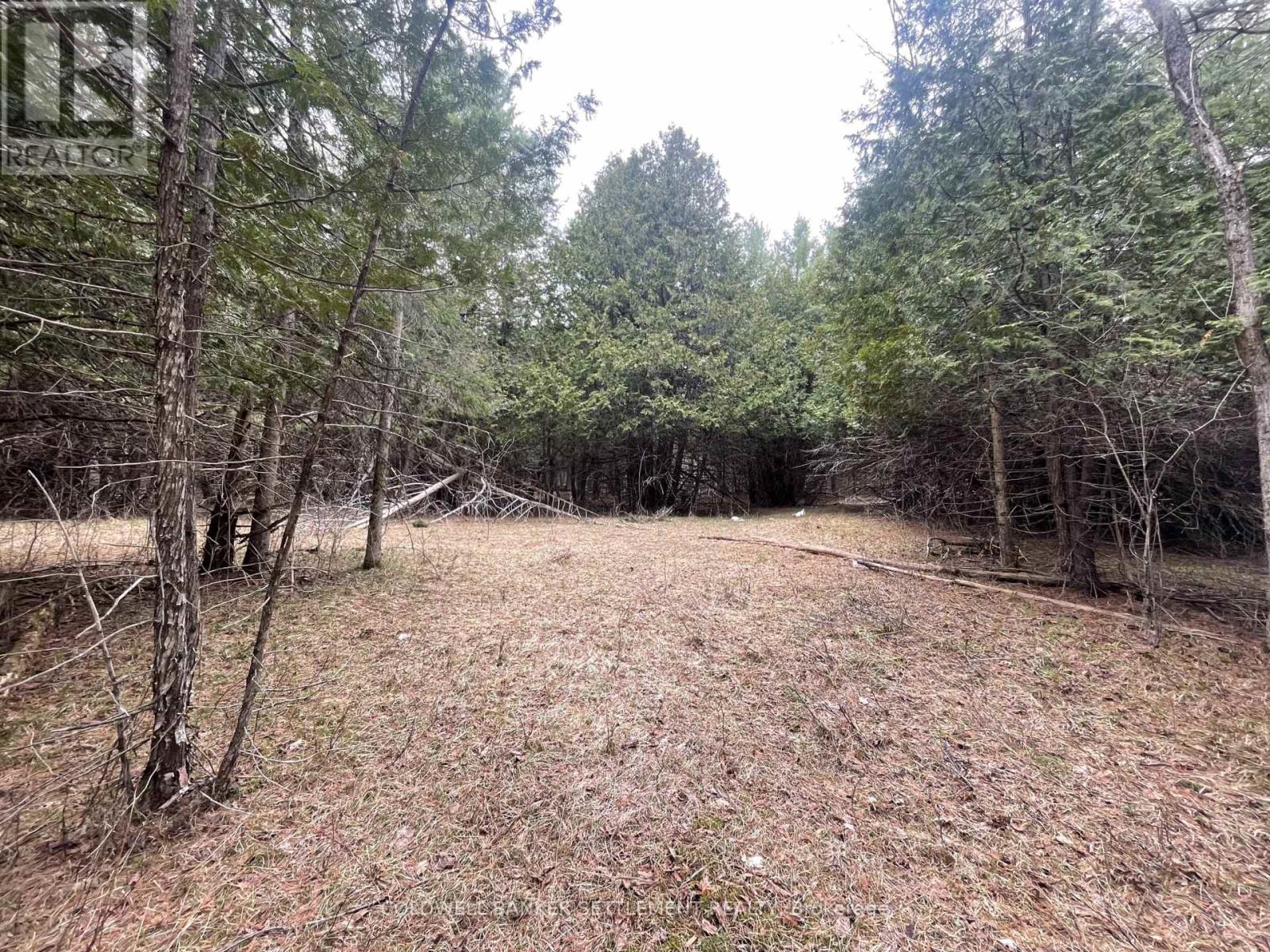 1008 Dalhousie 6a Concession, Lanark Highlands, Ontario  K0G 1K0 - Photo 5 - X13095146