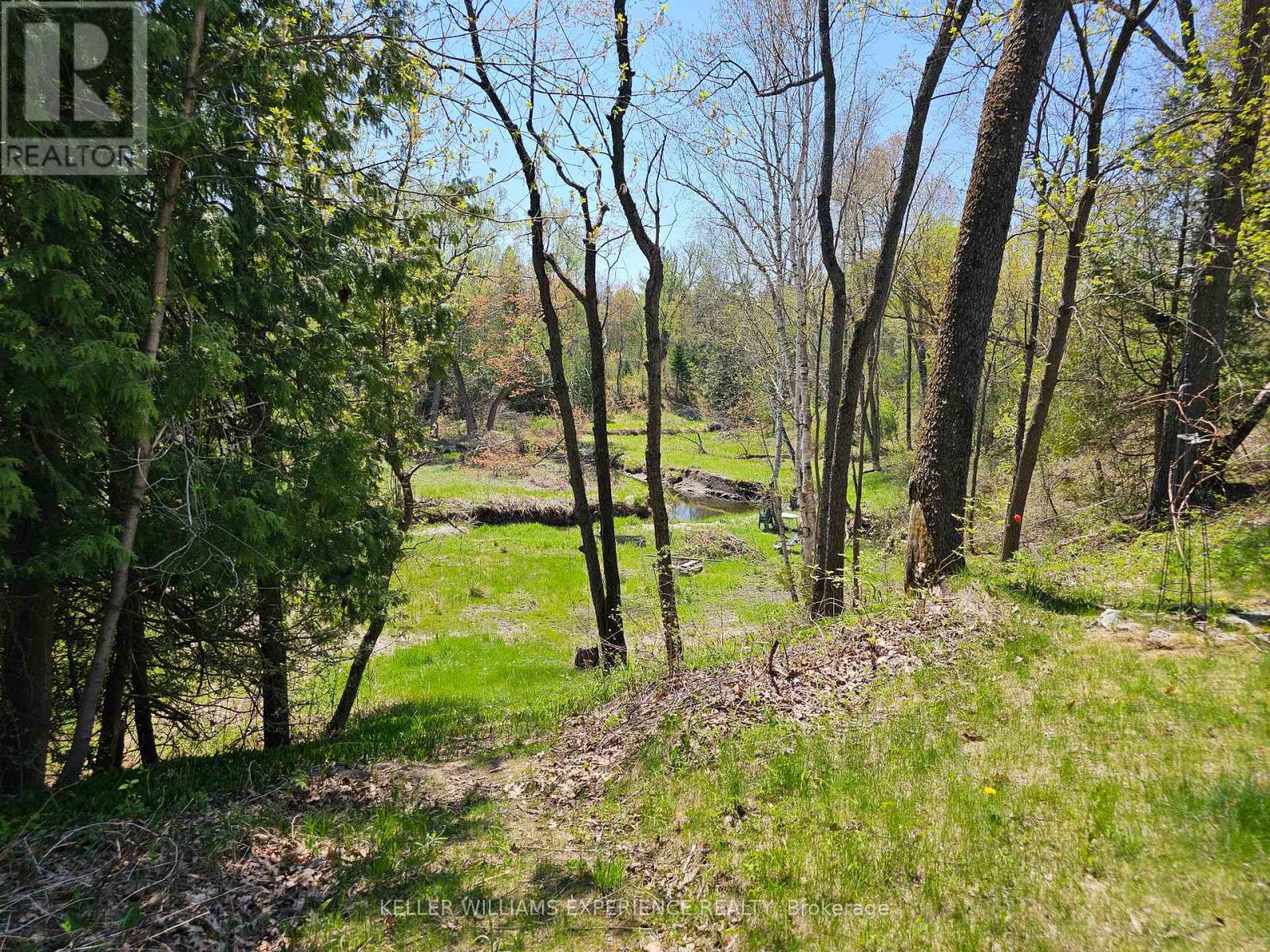 8529 9th Line, Essa, Ontario  L0M 1T0 - Photo 15 - N13095204