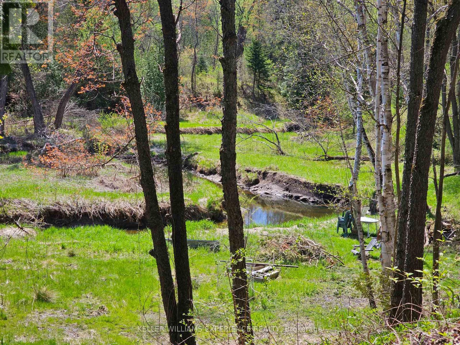 8529 9th Line, Essa, Ontario  L0M 1T0 - Photo 16 - N13095204
