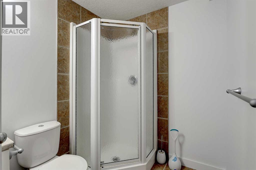 11353 82 Avenue, Grande Prairie, Alberta  T8W 0A7 - Photo 24 - A2308523
