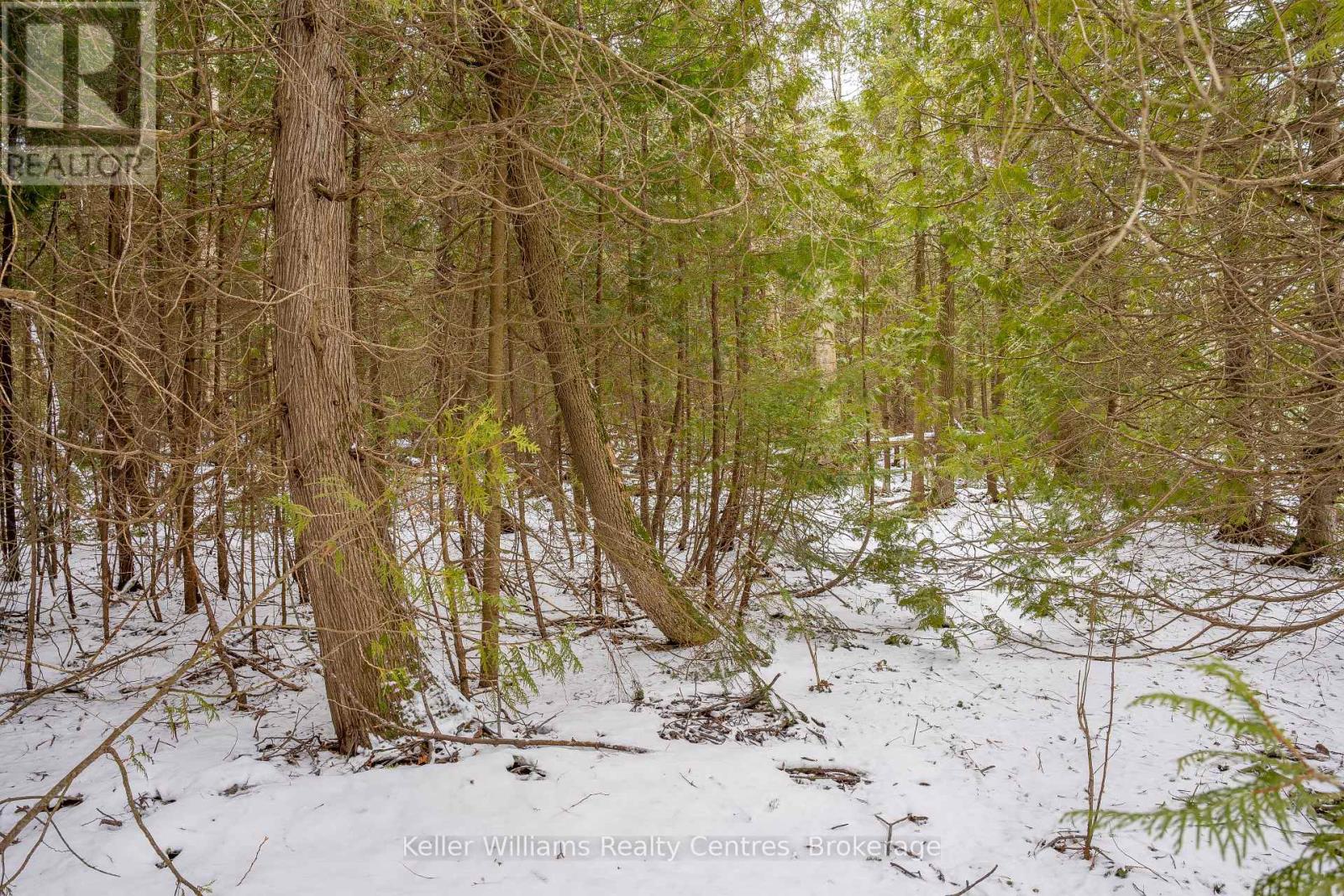 74 Lonely Island Drive, South Bruce Peninsula, Ontario  N0H 2T0 - Photo 17 - X12919974
