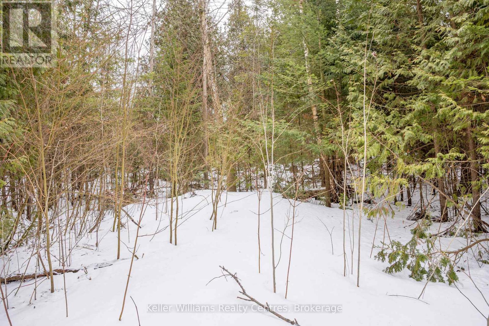 74 Lonely Island Drive, South Bruce Peninsula, Ontario  N0H 2T0 - Photo 16 - X12919974