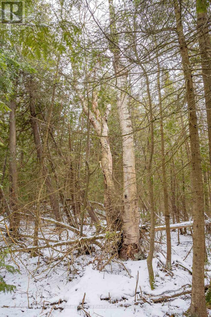 74 Lonely Island Drive, South Bruce Peninsula, Ontario  N0H 2T0 - Photo 18 - X12919974