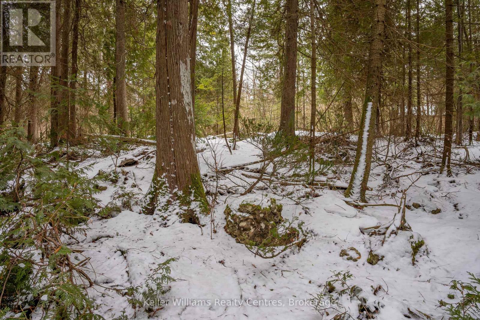 74 Lonely Island Drive, South Bruce Peninsula, Ontario  N0H 2T0 - Photo 20 - X12919974