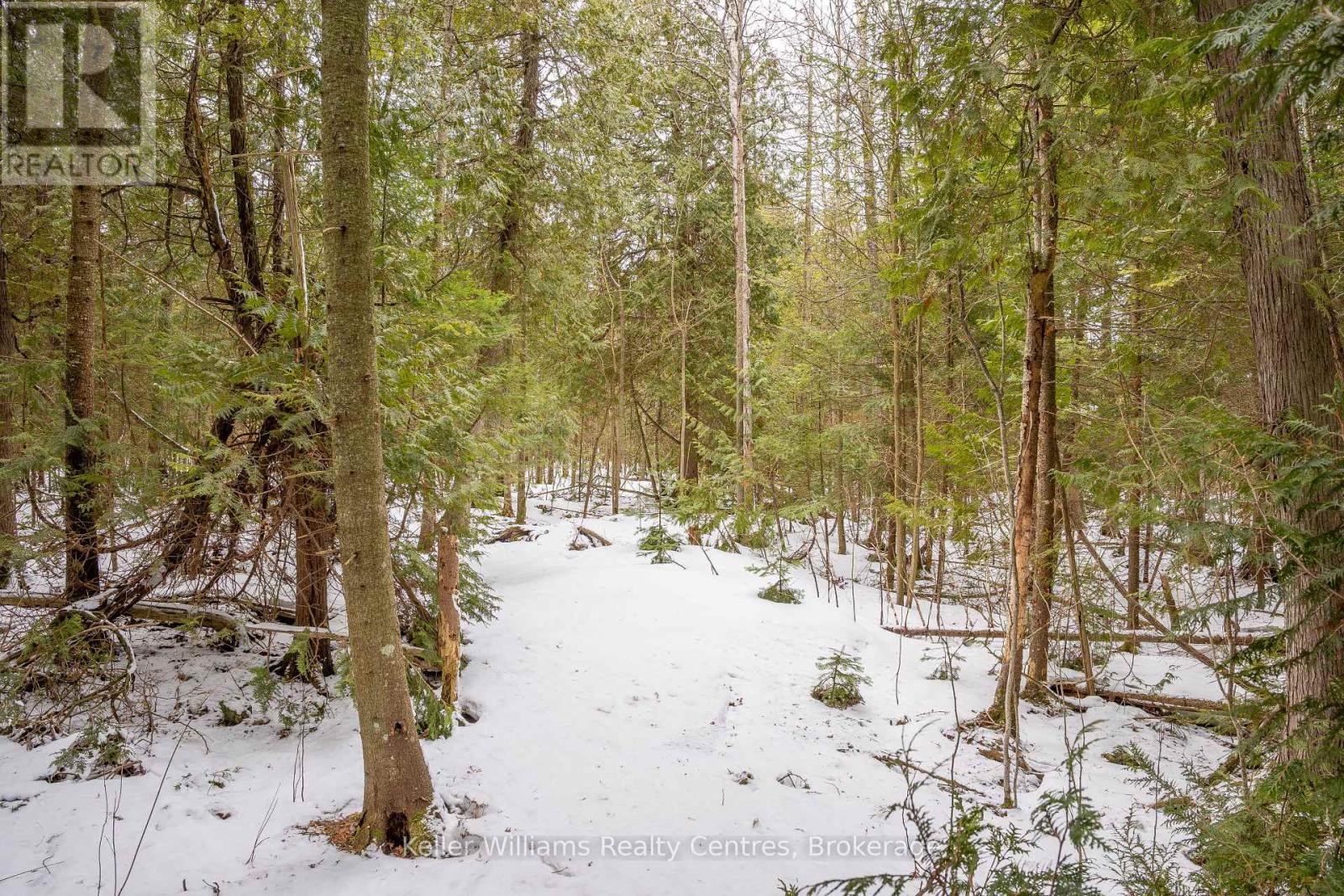 74 Lonely Island Drive, South Bruce Peninsula, Ontario  N0H 2T0 - Photo 22 - X12919974