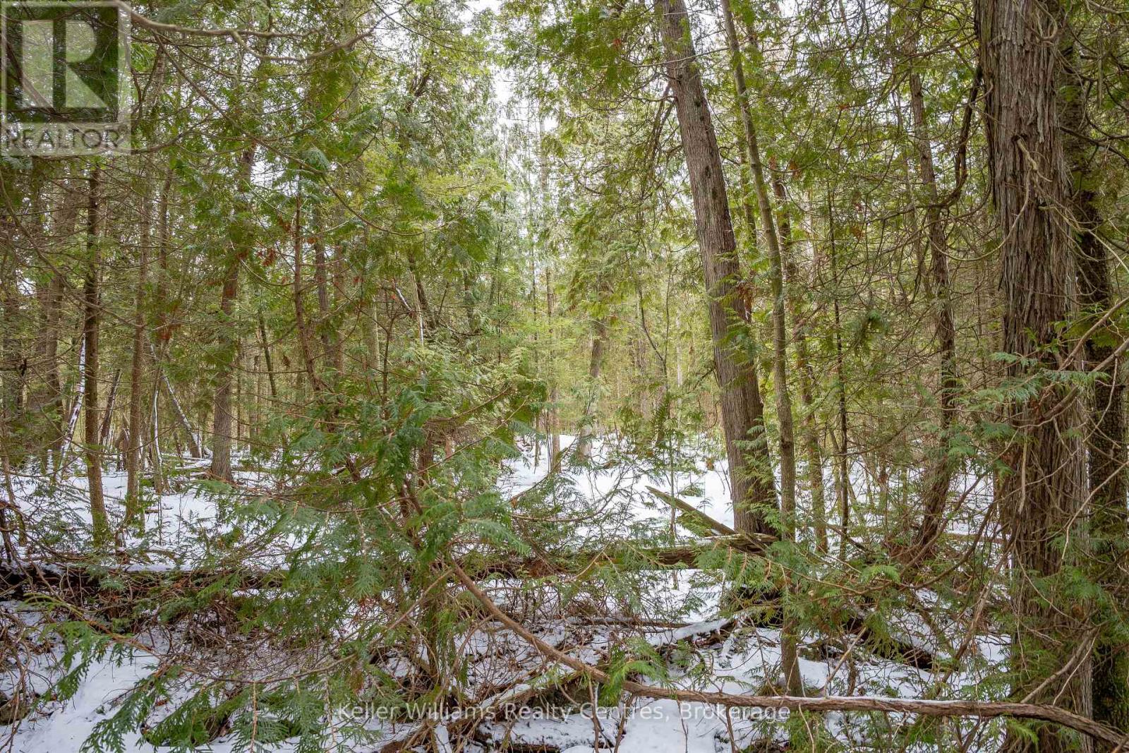 74 Lonely Island Drive, South Bruce Peninsula, Ontario  N0H 2T0 - Photo 21 - X12919974
