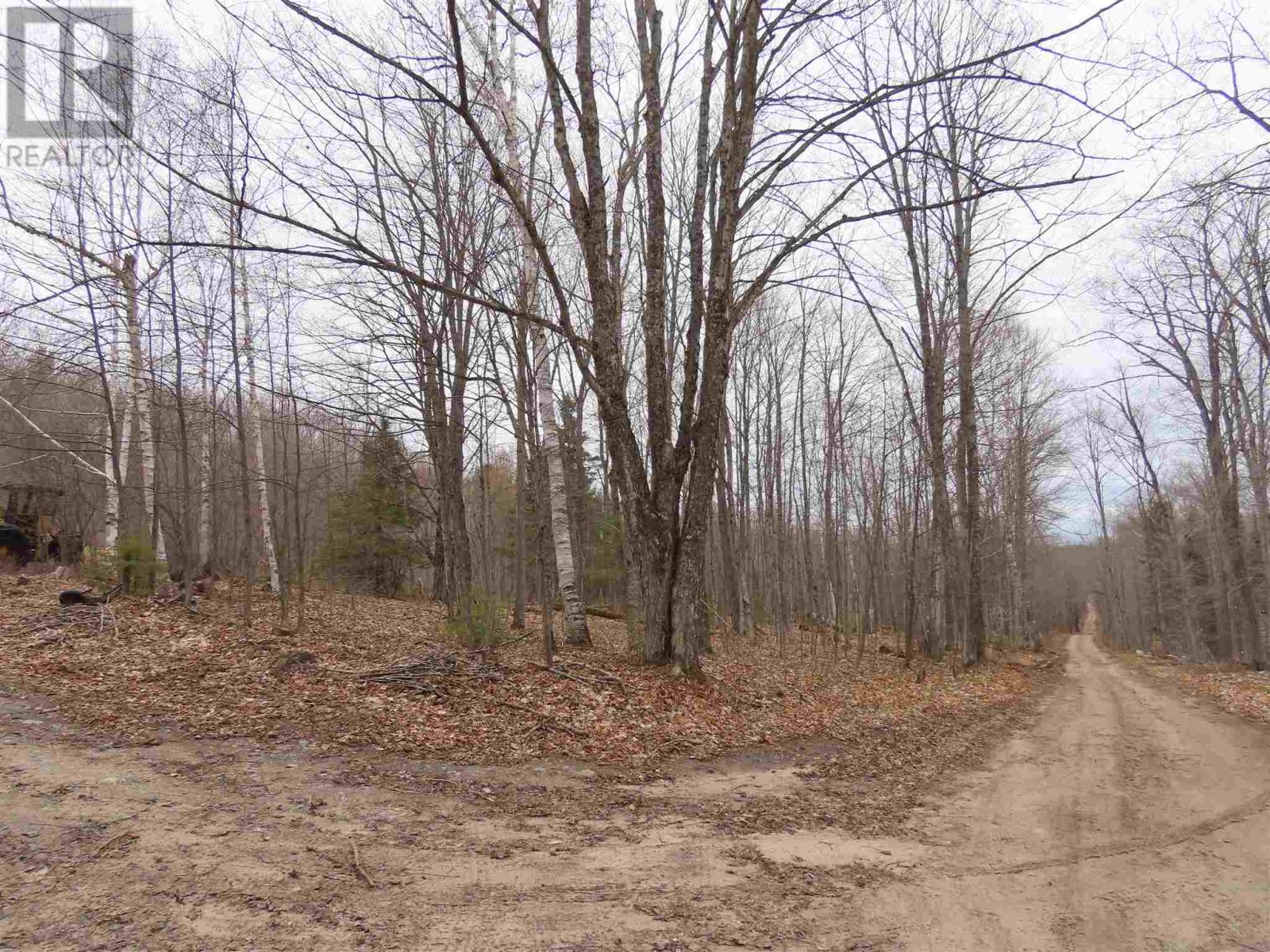 Lot 6 Hilton Rd, Jocelyn Township, Ontario  P0R 1J0 - Photo 5 - SM260607