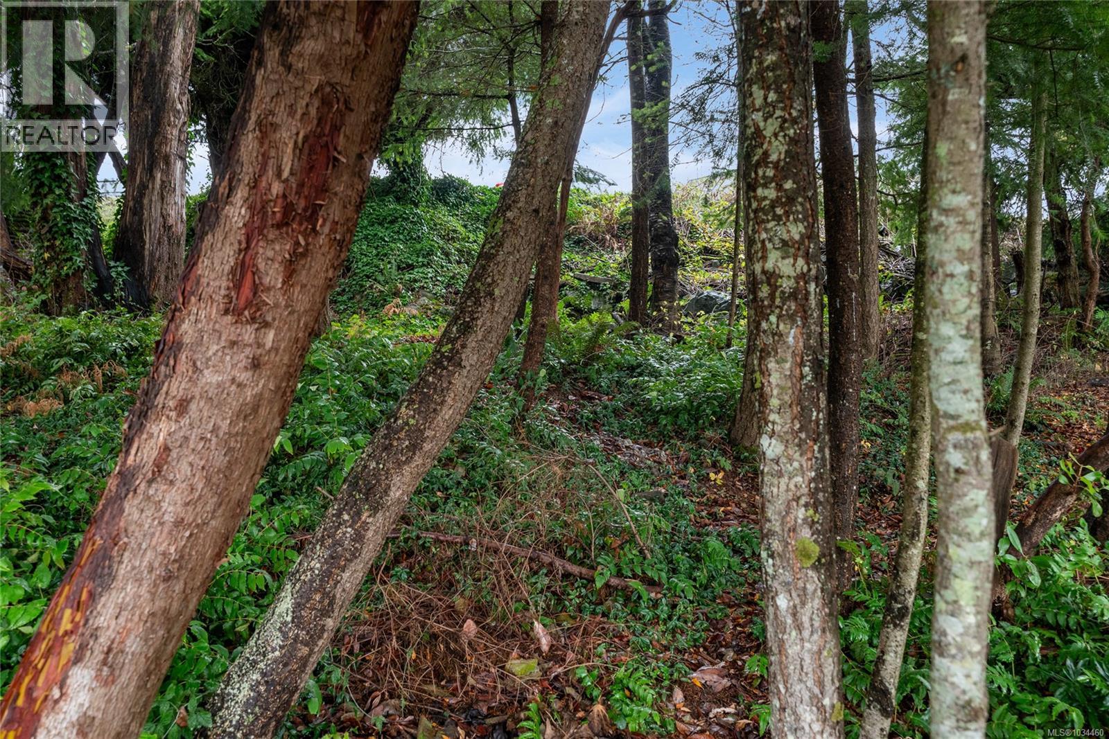1085 College Dr, Nanaimo, British Columbia  V9R 5V5 - Photo 39 - 1034460
