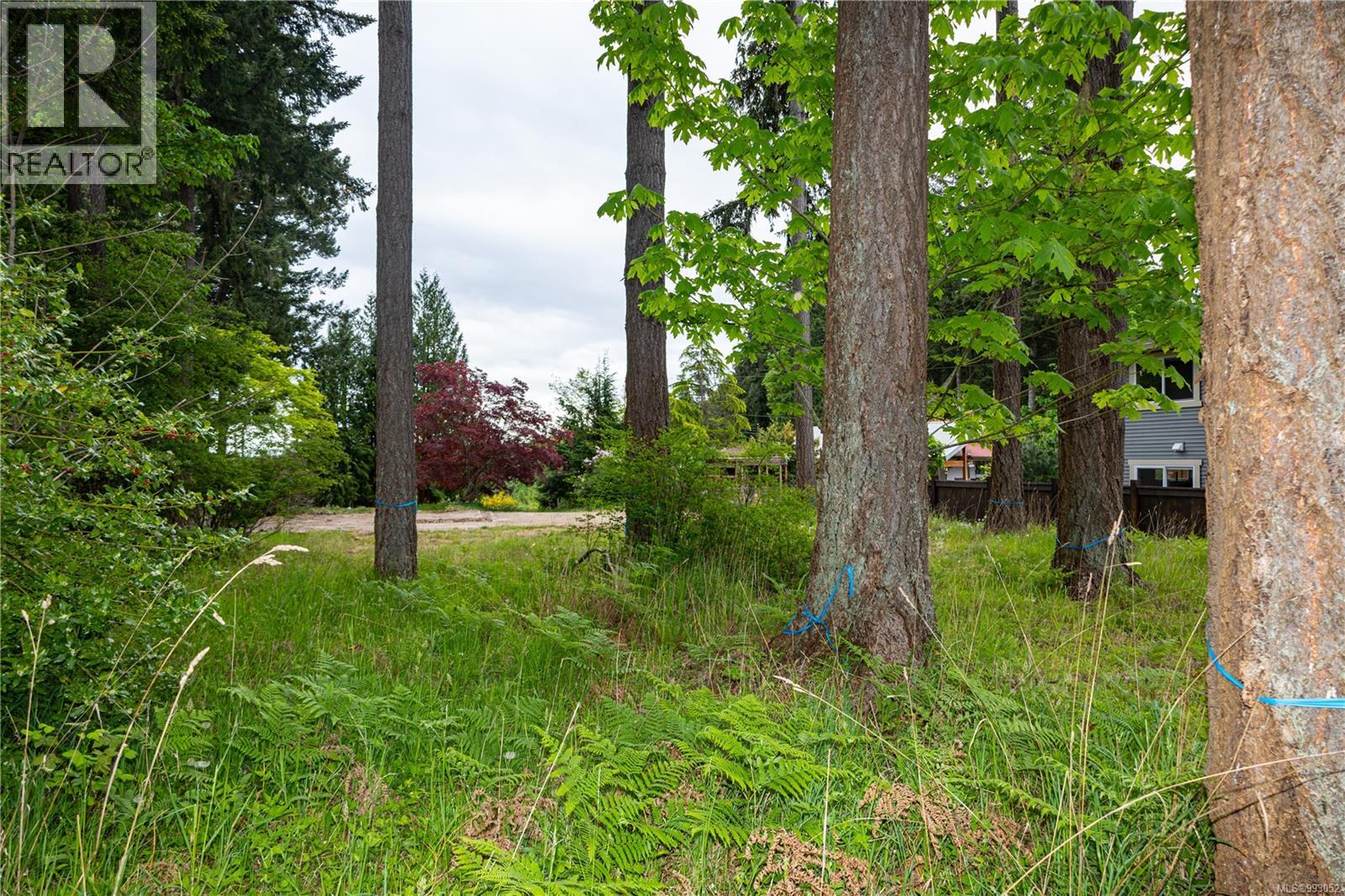 476 Old Petersen Rd, Campbell River, British Columbia  V9W 3M9 - Photo 15 - 993052