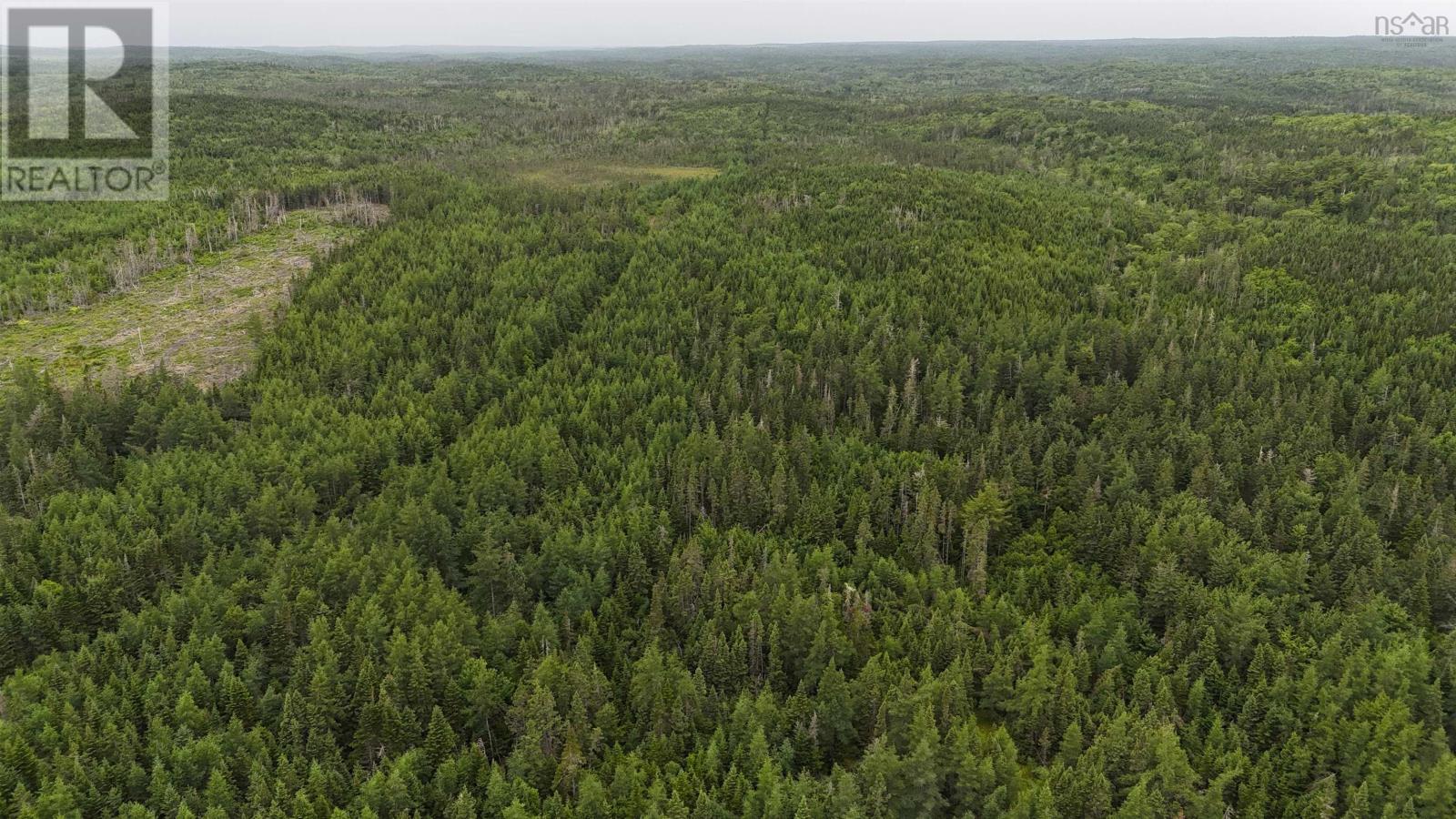 Highway 344, St. Francis Harbour, Nova Scotia  B0E 2G0 - Photo 14 - 202528682