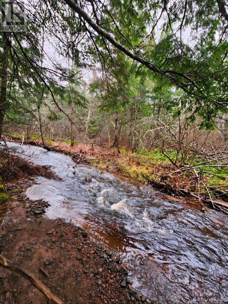 V/l 368 Highway, Wentworth, Nova Scotia  B0M 1Z0 - Photo 10 - 202609969