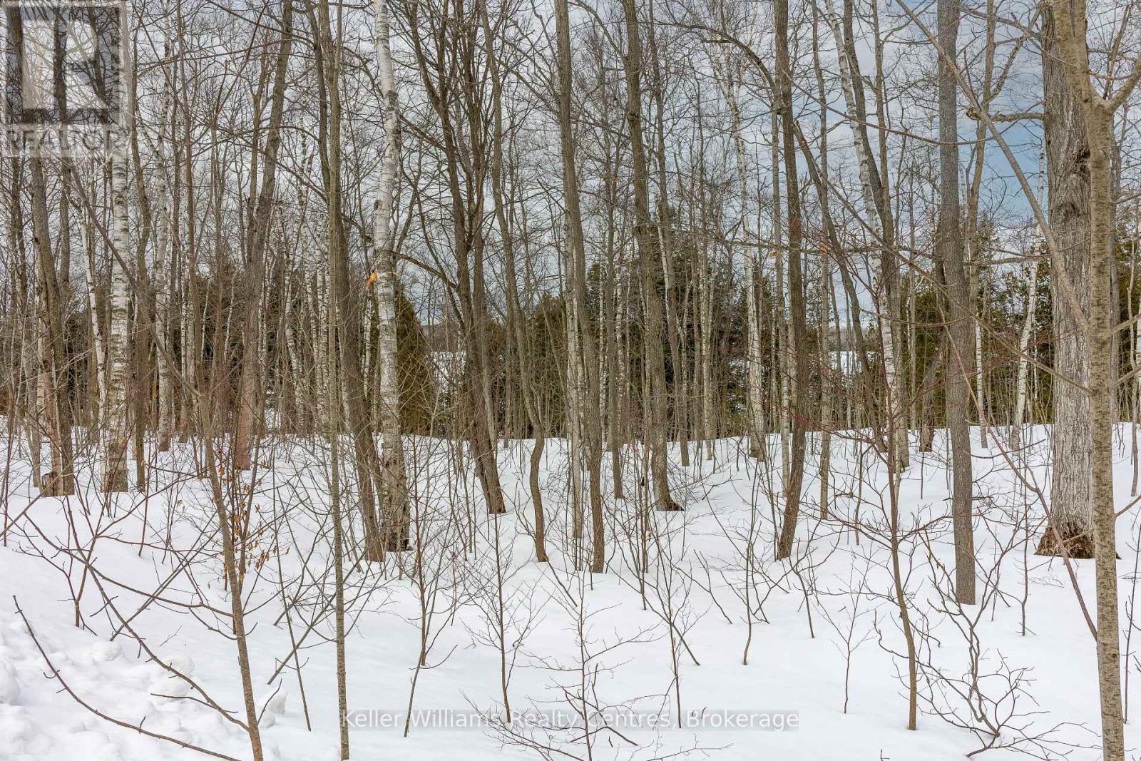 270 Tammy's Cove Road, Northern Bruce Peninsula, Ontario  N0H 1W0 - Photo 23 - X12908152