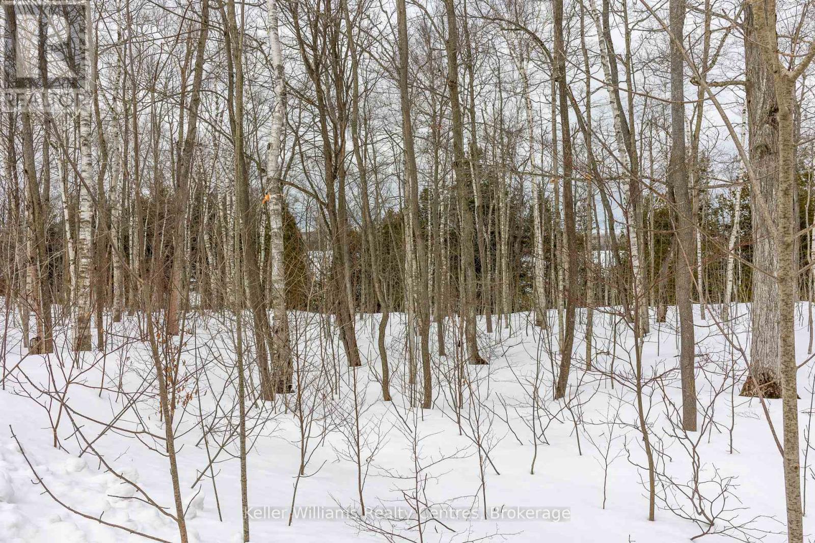 270 Tammy's Cove Road, Northern Bruce Peninsula, Ontario  N0H 1W0 - Photo 22 - X12908152
