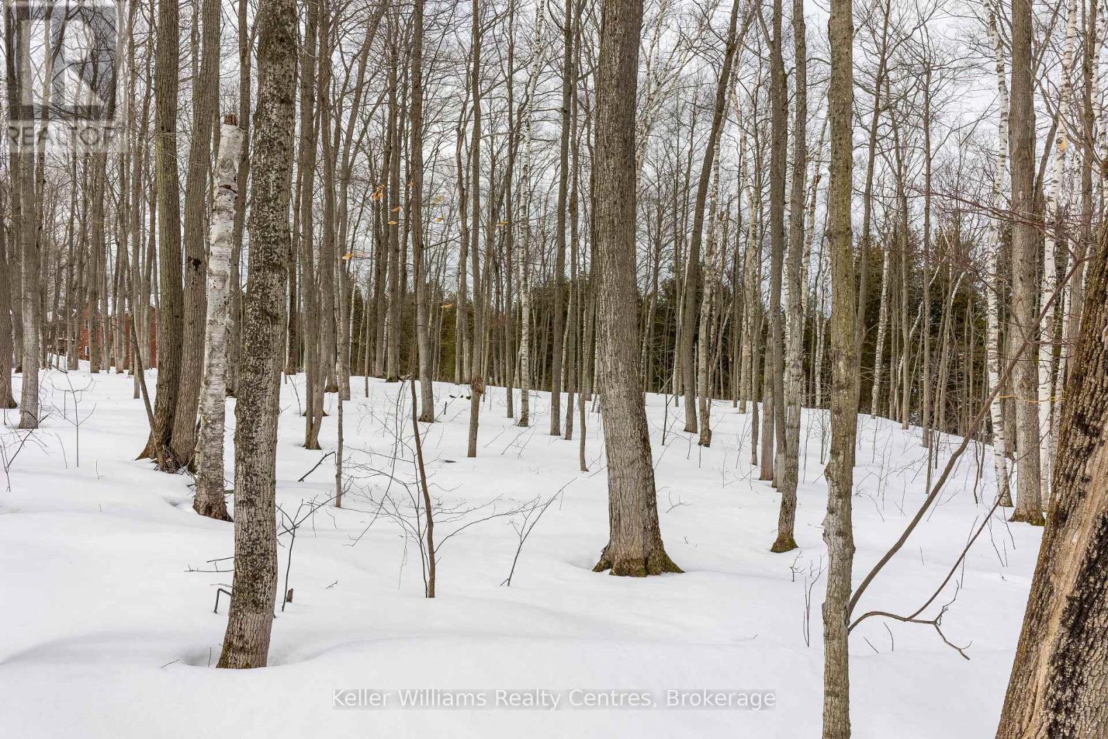 268 Tammy's Cove Road, Northern Bruce Peninsula, Ontario  N0H 1W0 - Photo 29 - X12908156
