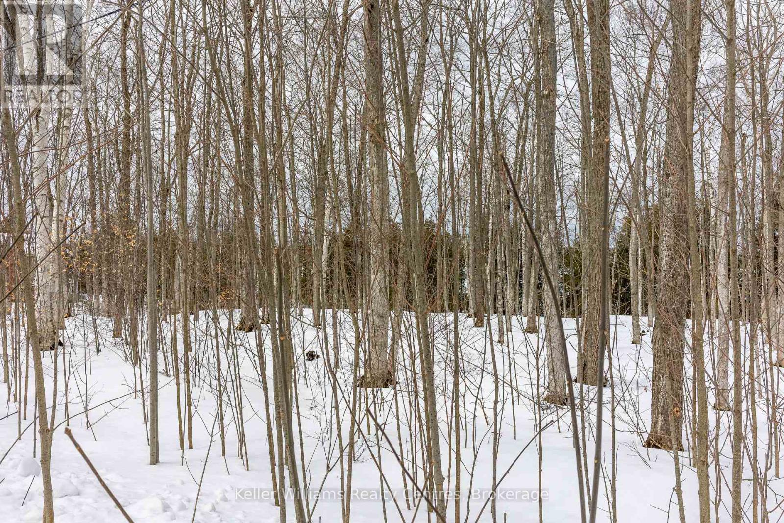 266 Tammy's Cove Road, Northern Bruce Peninsula, Ontario  N0H 1W0 - Photo 20 - X12908160