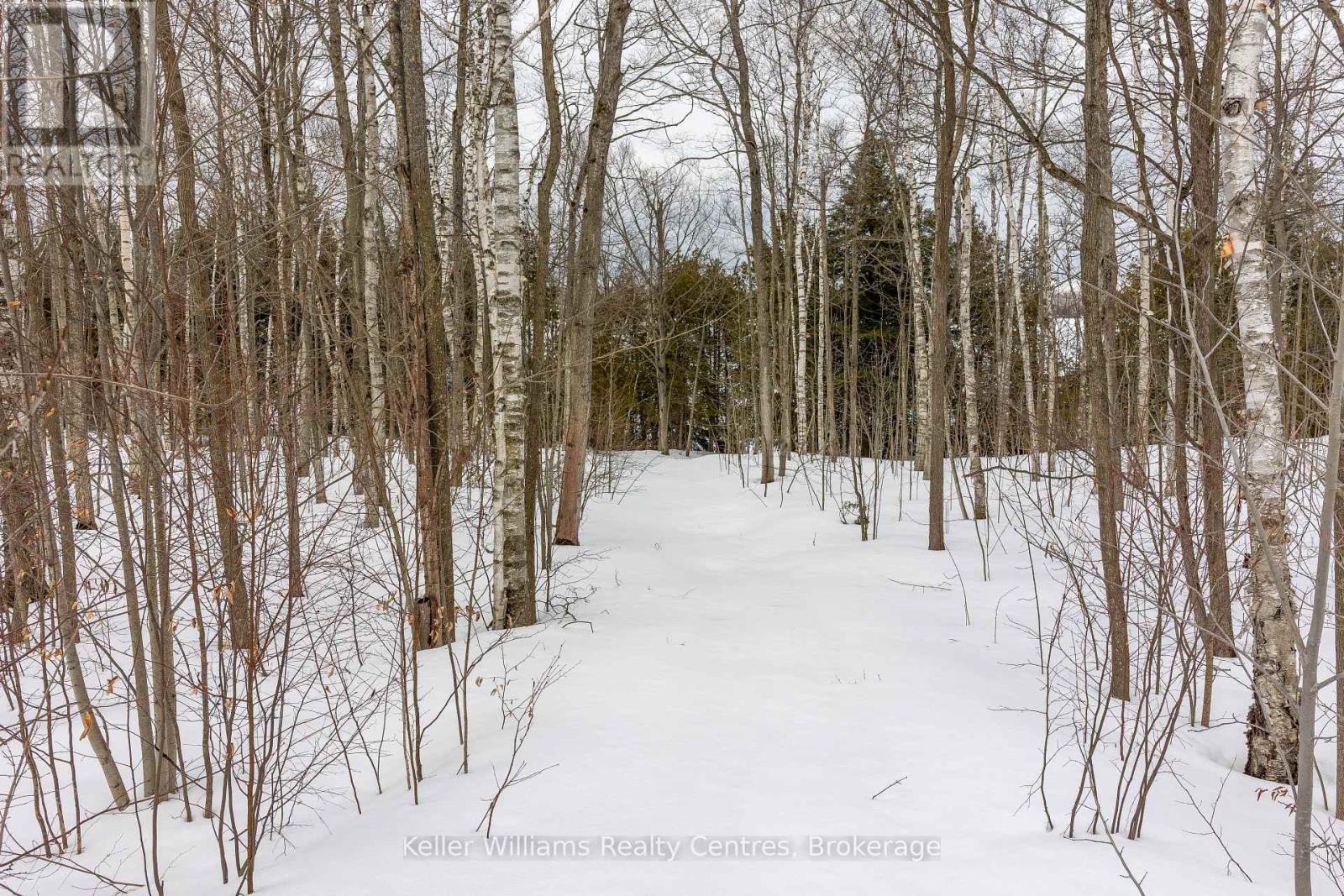 266 Tammy's Cove Road, Northern Bruce Peninsula, Ontario  N0H 1W0 - Photo 21 - X12908160