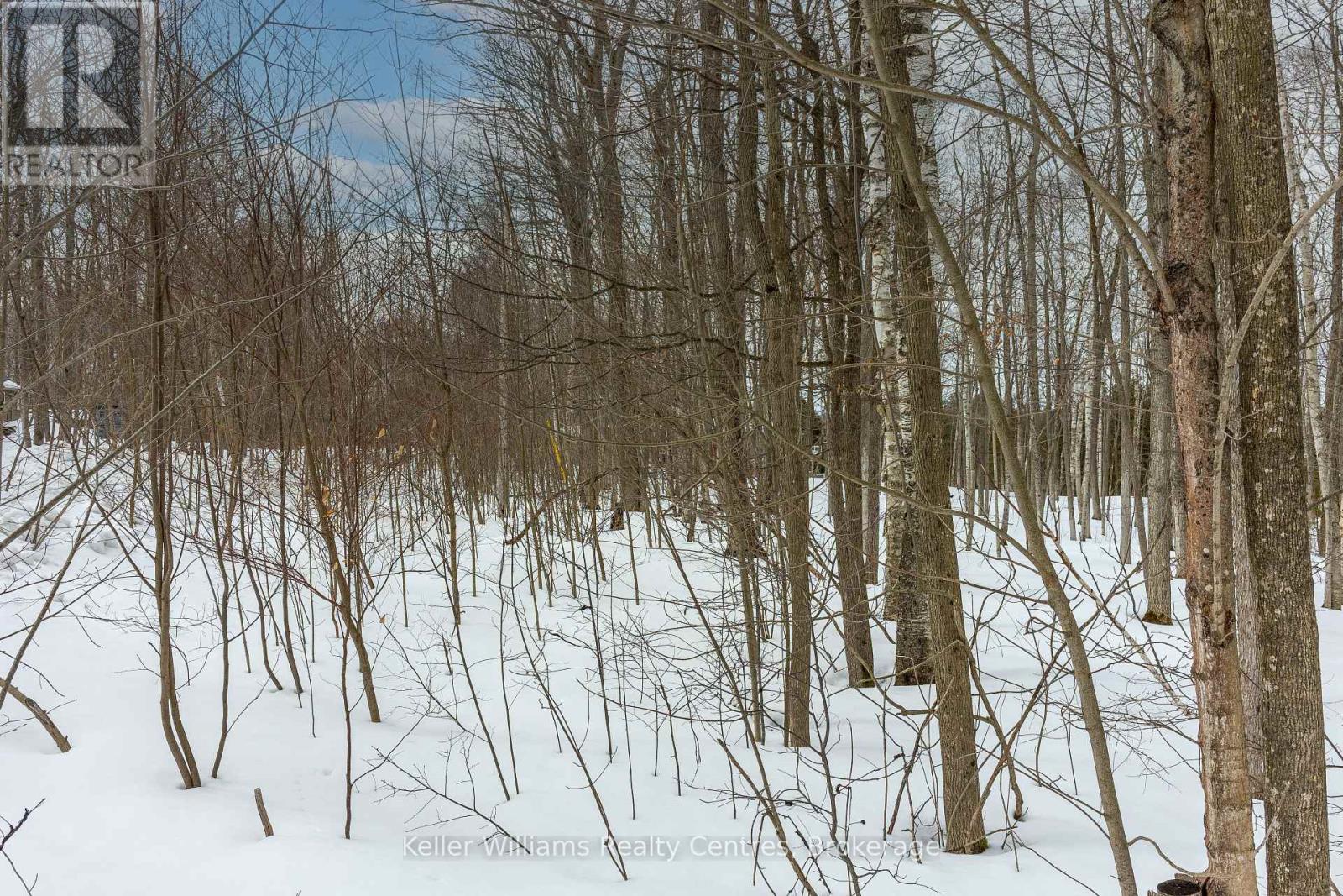 270 Tammy's Cove Road, Northern Bruce Peninsula, Ontario  N0H 1W0 - Photo 25 - X12908152