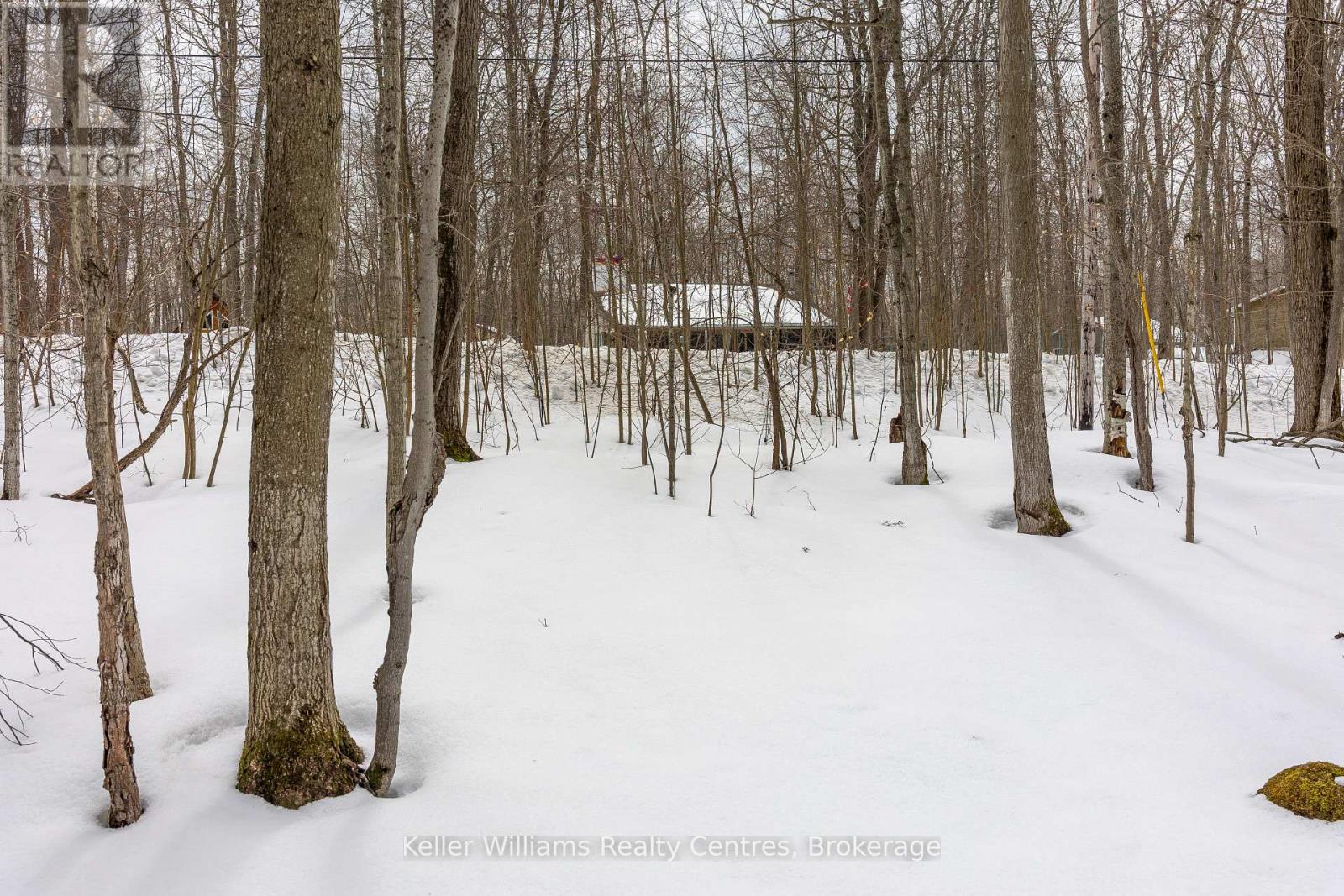 266 Tammy's Cove Road, Northern Bruce Peninsula, Ontario  N0H 1W0 - Photo 24 - X12908160