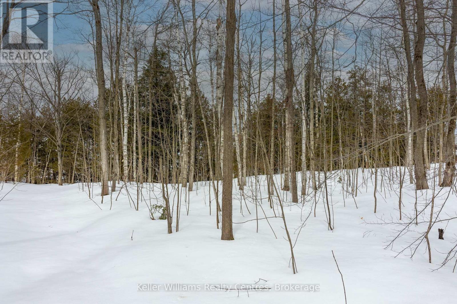 270 Tammy's Cove Road, Northern Bruce Peninsula, Ontario  N0H 1W0 - Photo 26 - X12908152