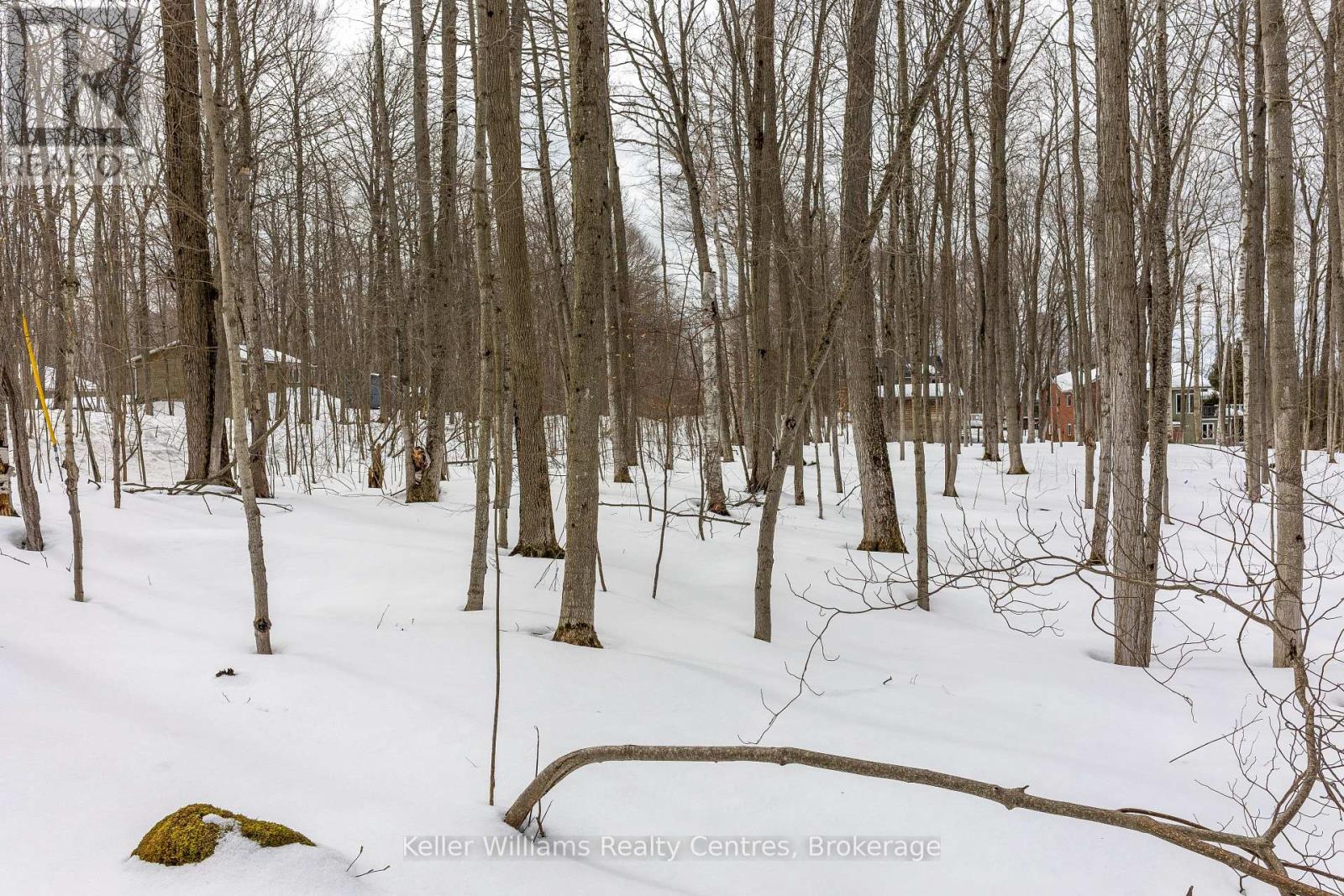 266 Tammy's Cove Road, Northern Bruce Peninsula, Ontario  N0H 1W0 - Photo 25 - X12908160
