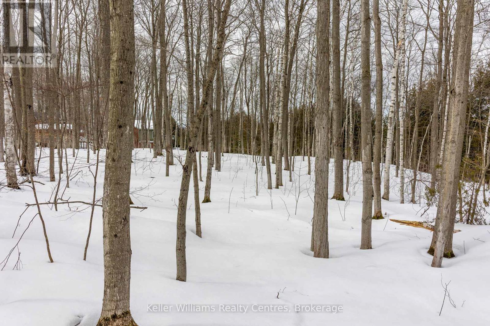 268 Tammy's Cove Road, Northern Bruce Peninsula, Ontario  N0H 1W0 - Photo 21 - X12908156
