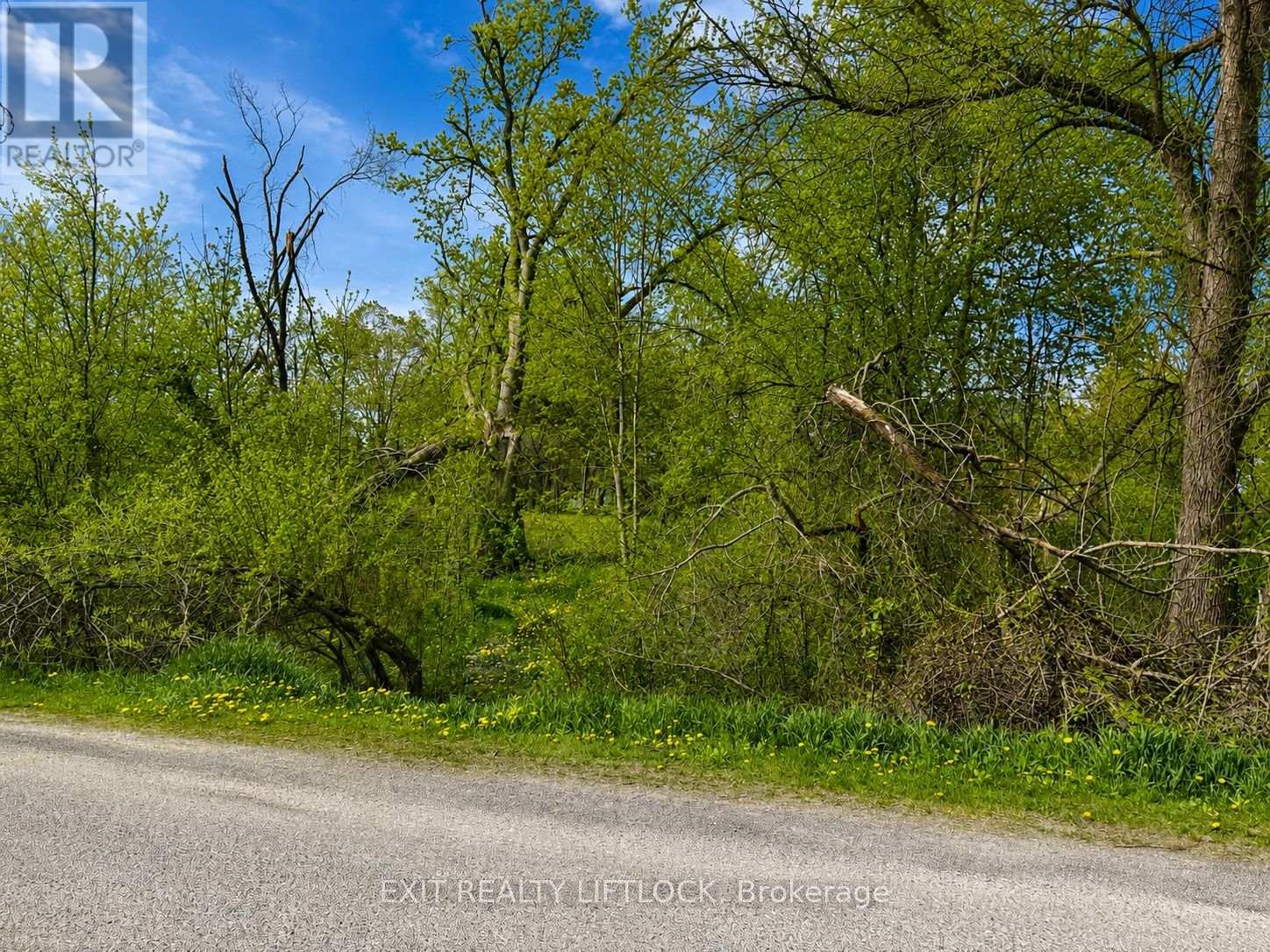 0 MAPLE RIDGE DRIVE, Kawartha Lakes, Ontario