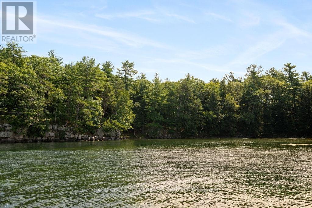 1 Little Grenadier Island, Leeds And The Thousand Islands, Ontario  K0E 1V0 - Photo 38 - X13096110