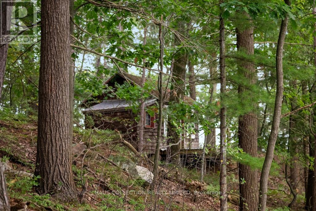1 Little Grenadier Island, Leeds And The Thousand Islands, Ontario  K0E 1V0 - Photo 40 - X13096110