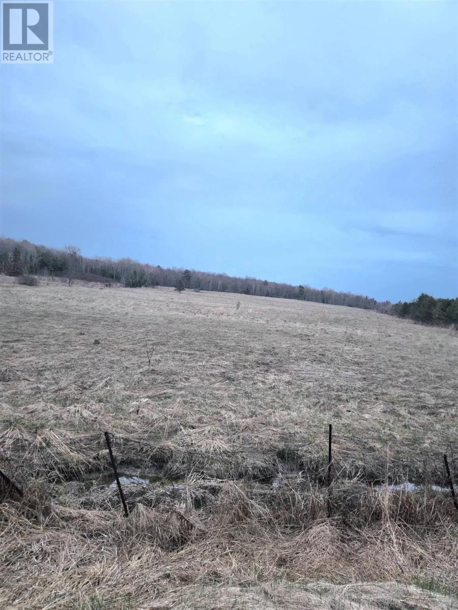 Lot 29 Braniff Rd, Plummer Additional, Ontario  P0R 1C0 - Photo 3 - SM260444