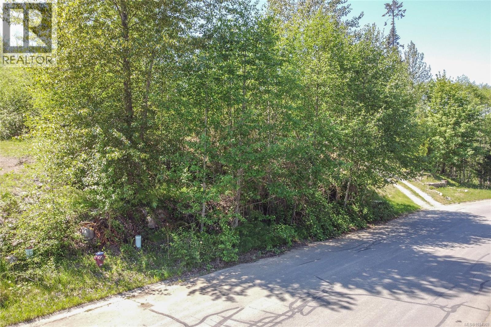474 Point Ideal Dr, Lake Cowichan, British Columbia  V0R 2G0 - Photo 13 - 1034969