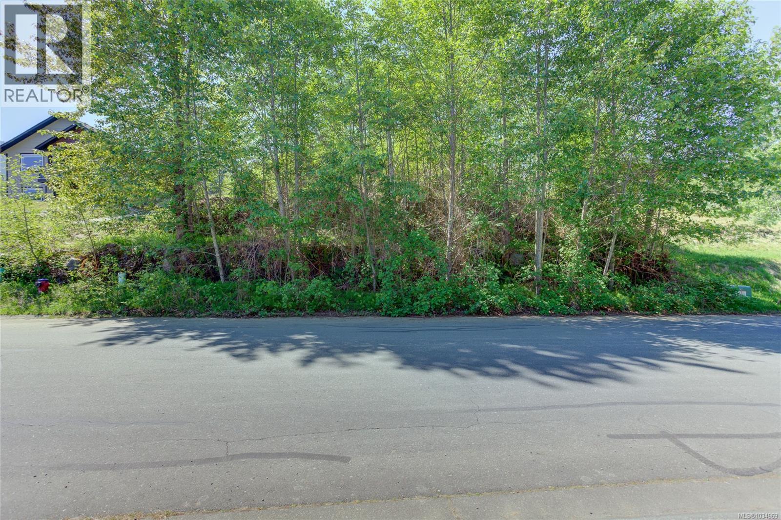 474 Point Ideal Dr, Lake Cowichan, British Columbia  V0R 2G0 - Photo 3 - 1034969
