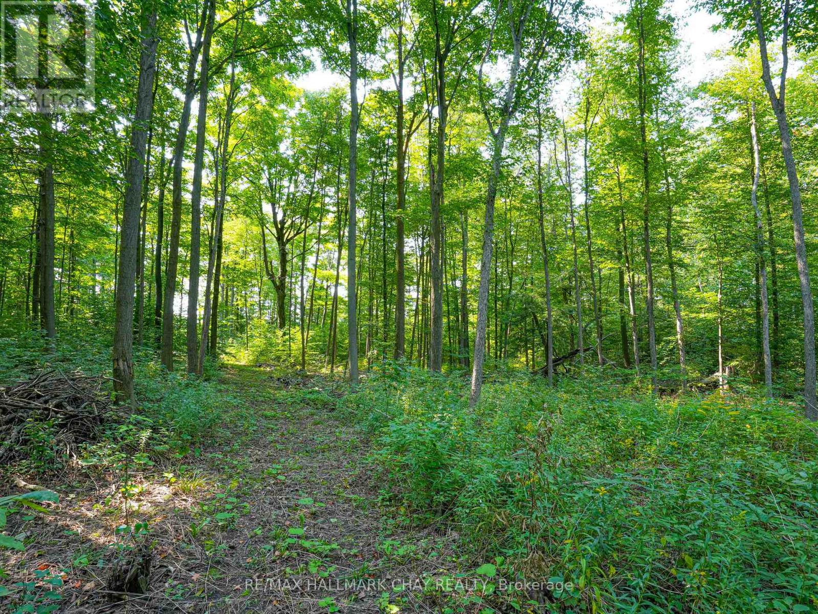 837251 4th Line, Mulmur, Ontario  L9V 0J1 - Photo 15 - X13096292