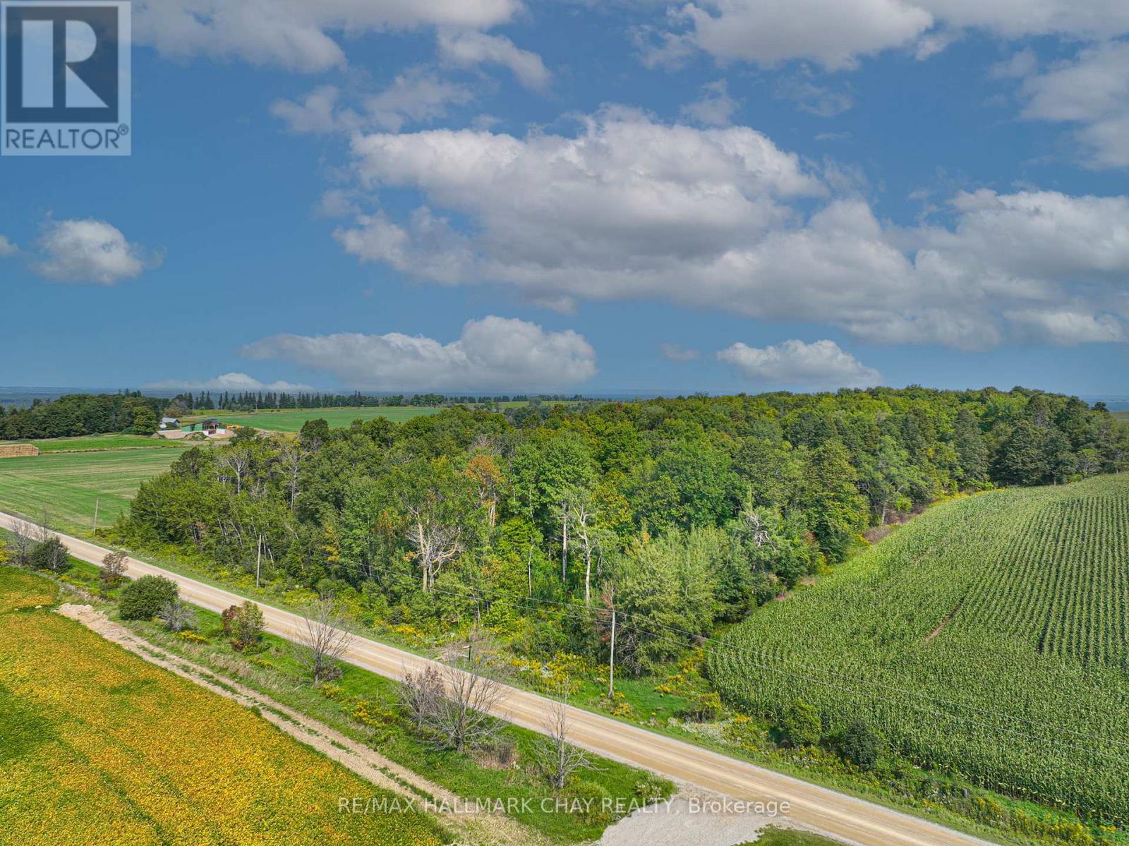 837251 4th Line, Mulmur, Ontario  L9V 0J1 - Photo 8 - X13096292