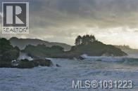 871 Moser Pl, Tofino, British Columbia