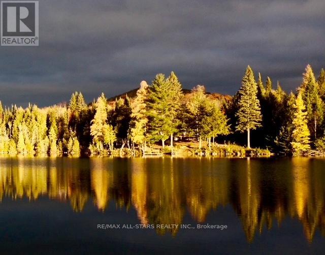 213 Connemara Lane, Greater Madawaska, Ontario  K0J 2R0 - Photo 2 - X13096466