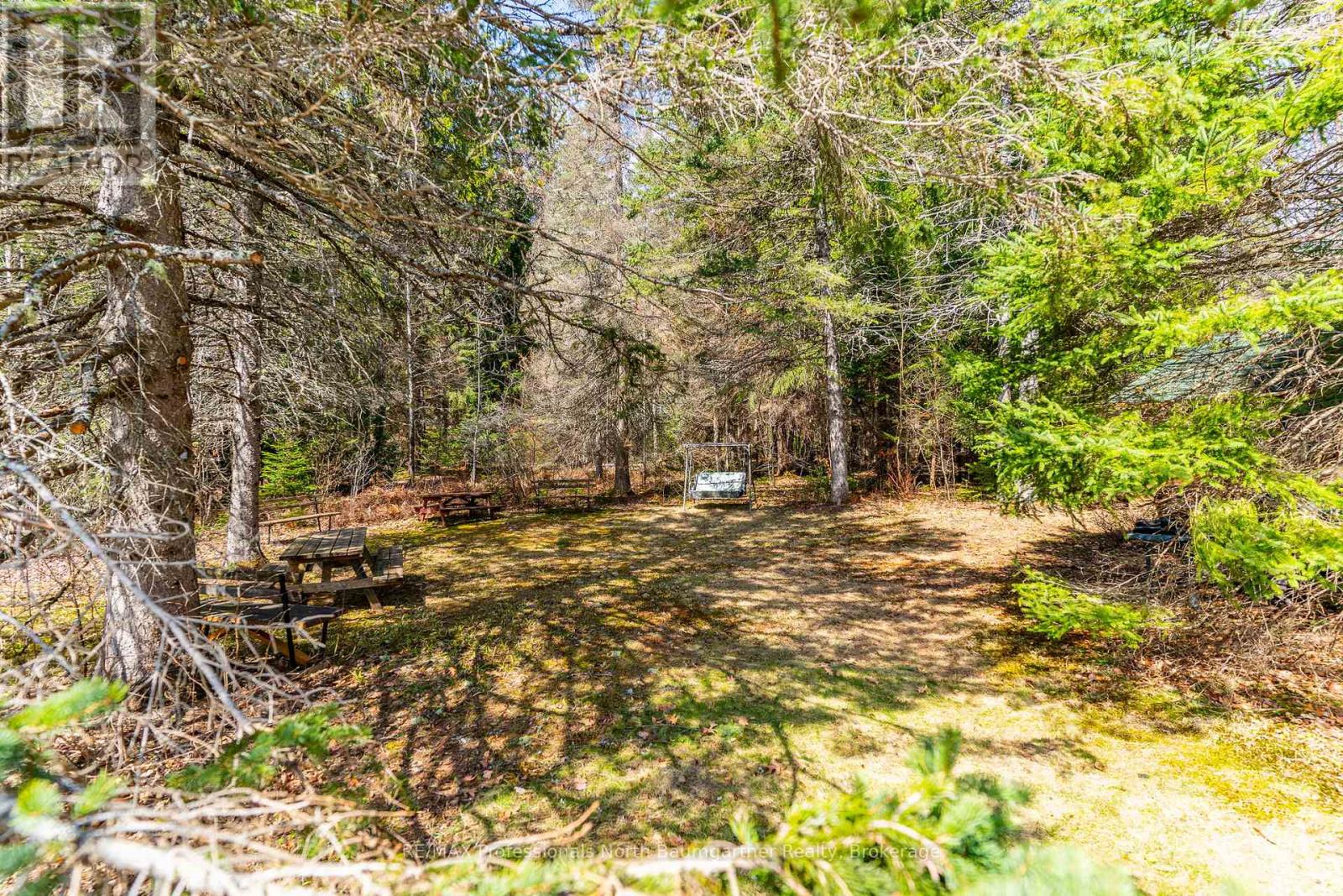1009 Outram Road, Highlands East (Monmouth), Ontario  K0L 3C0 - Photo 41 - X13096532