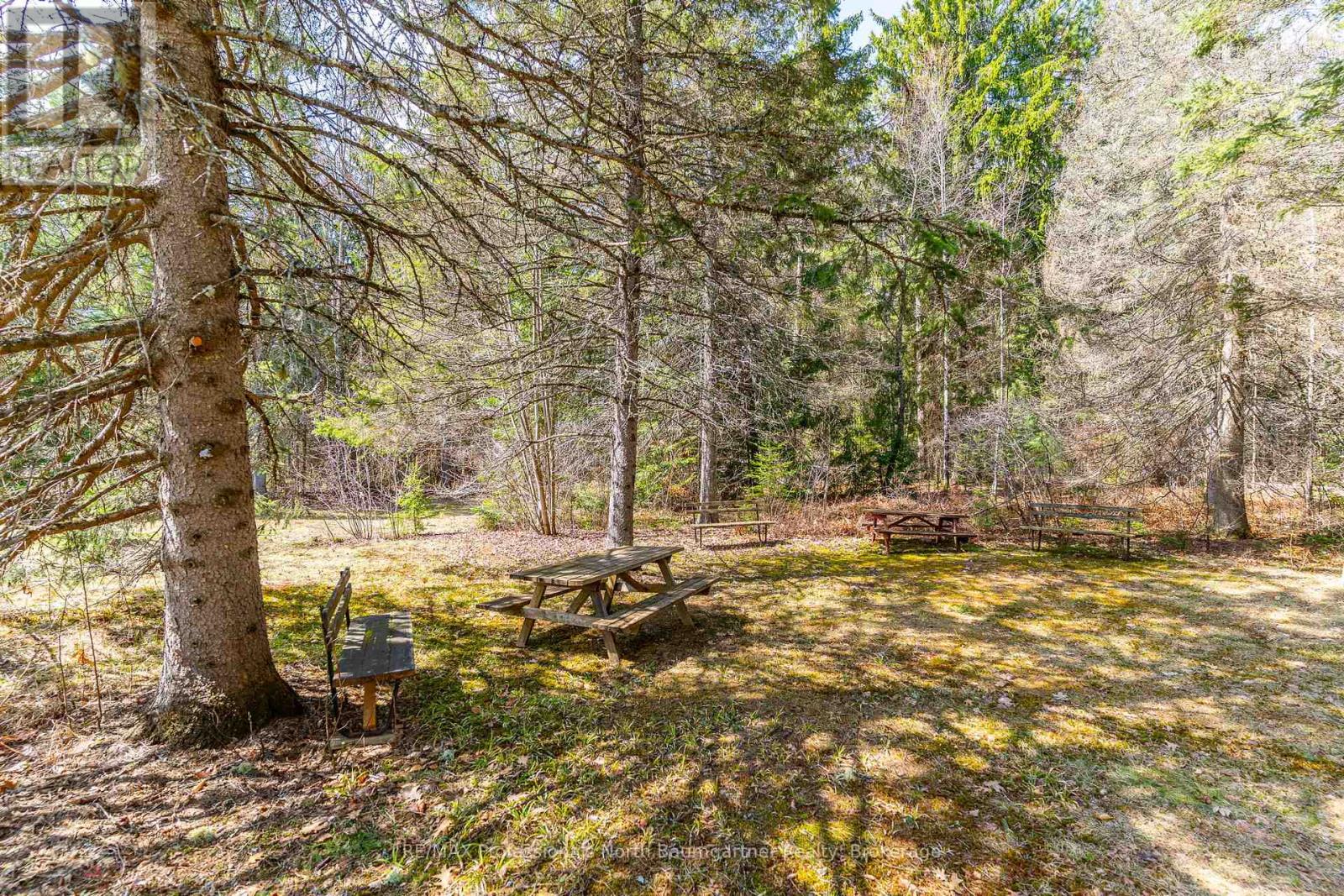 1009 Outram Road, Highlands East (Monmouth), Ontario  K0L 3C0 - Photo 42 - X13096532