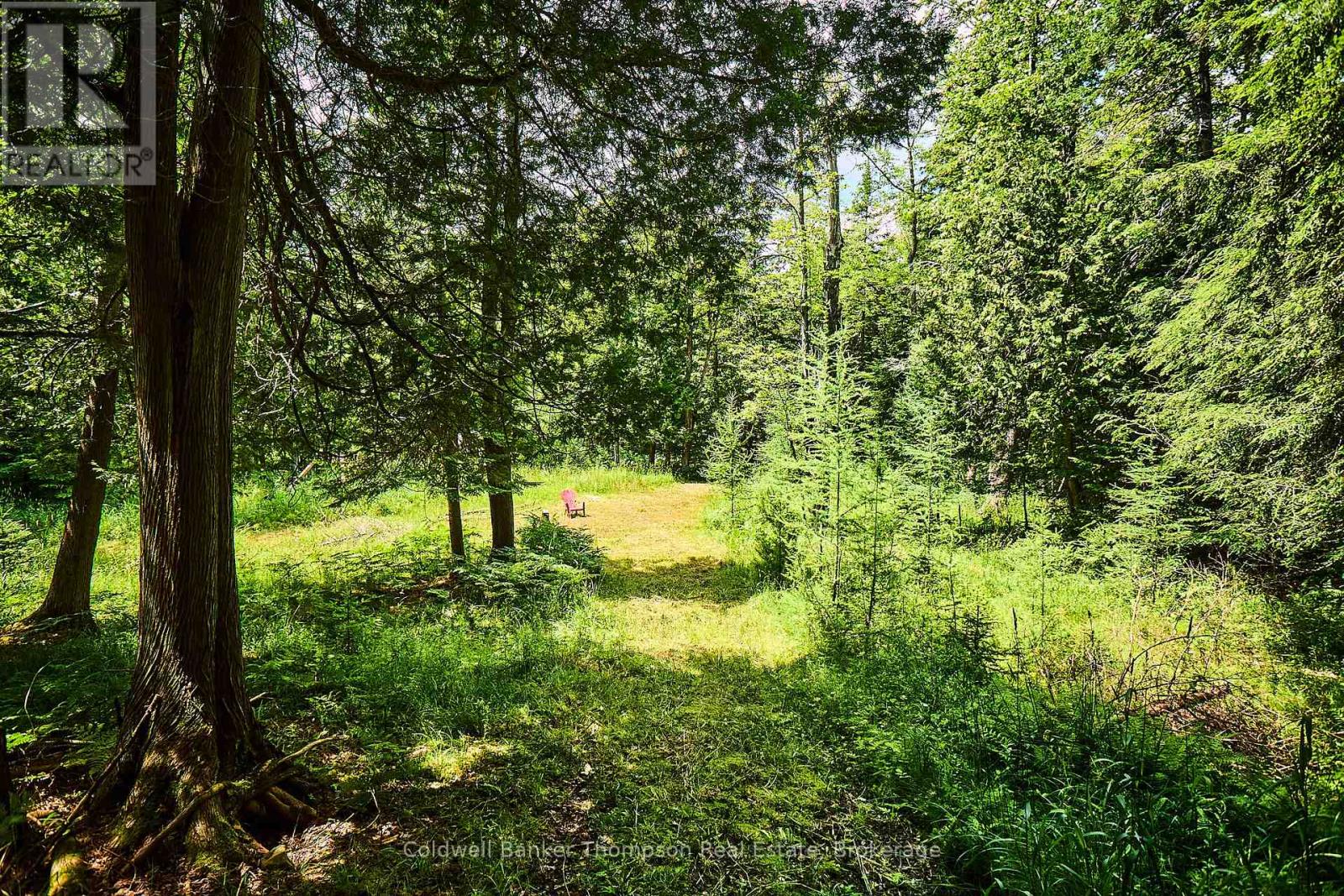 440 Chub Lake Road, Huntsville, Ontario  P1H 2J3 - Photo 46 - X13096678