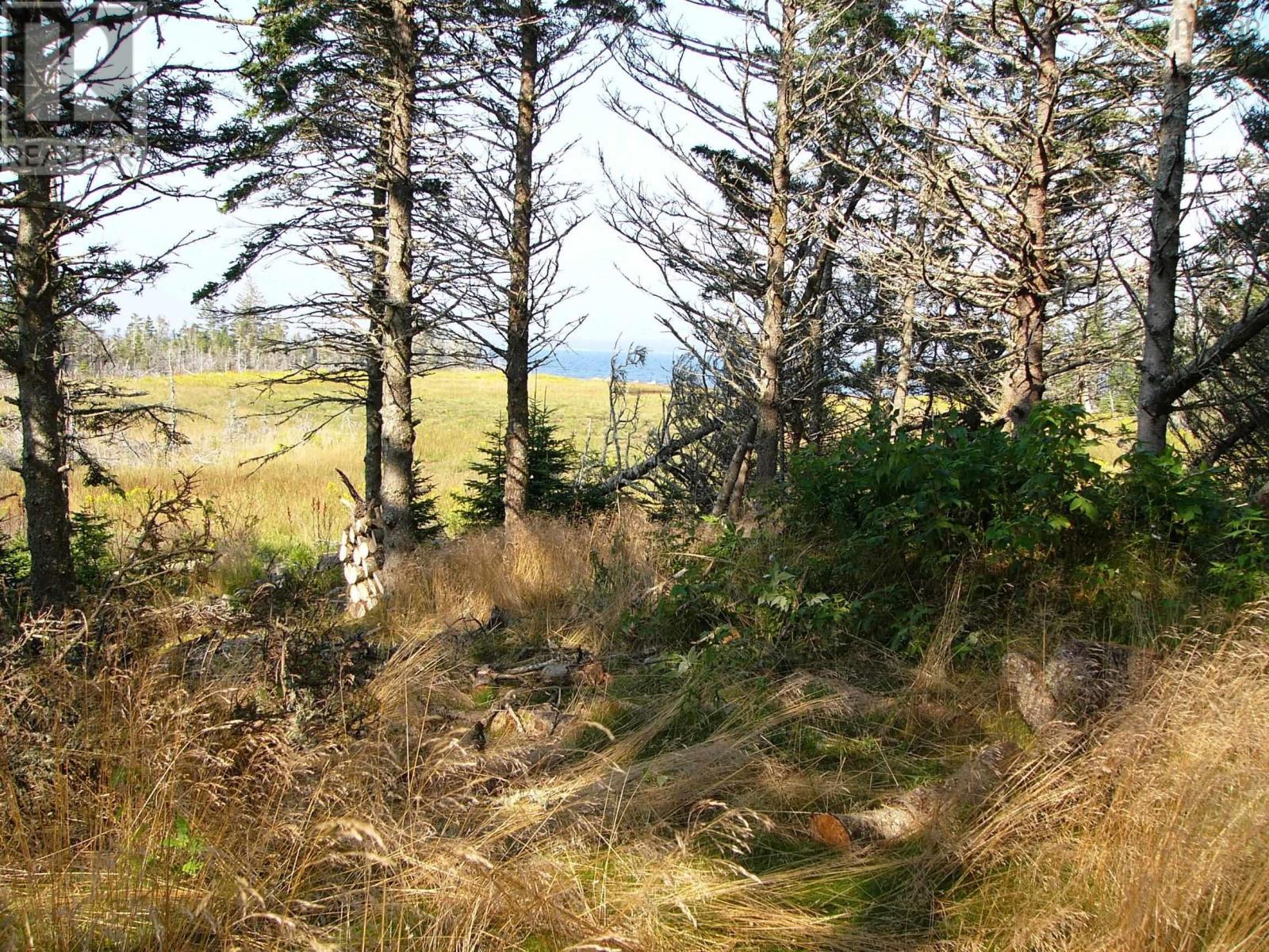 671 South Shore Road, Mitchell Bay, Nova Scotia  B0J 2K0 - Photo 25 - 202601376