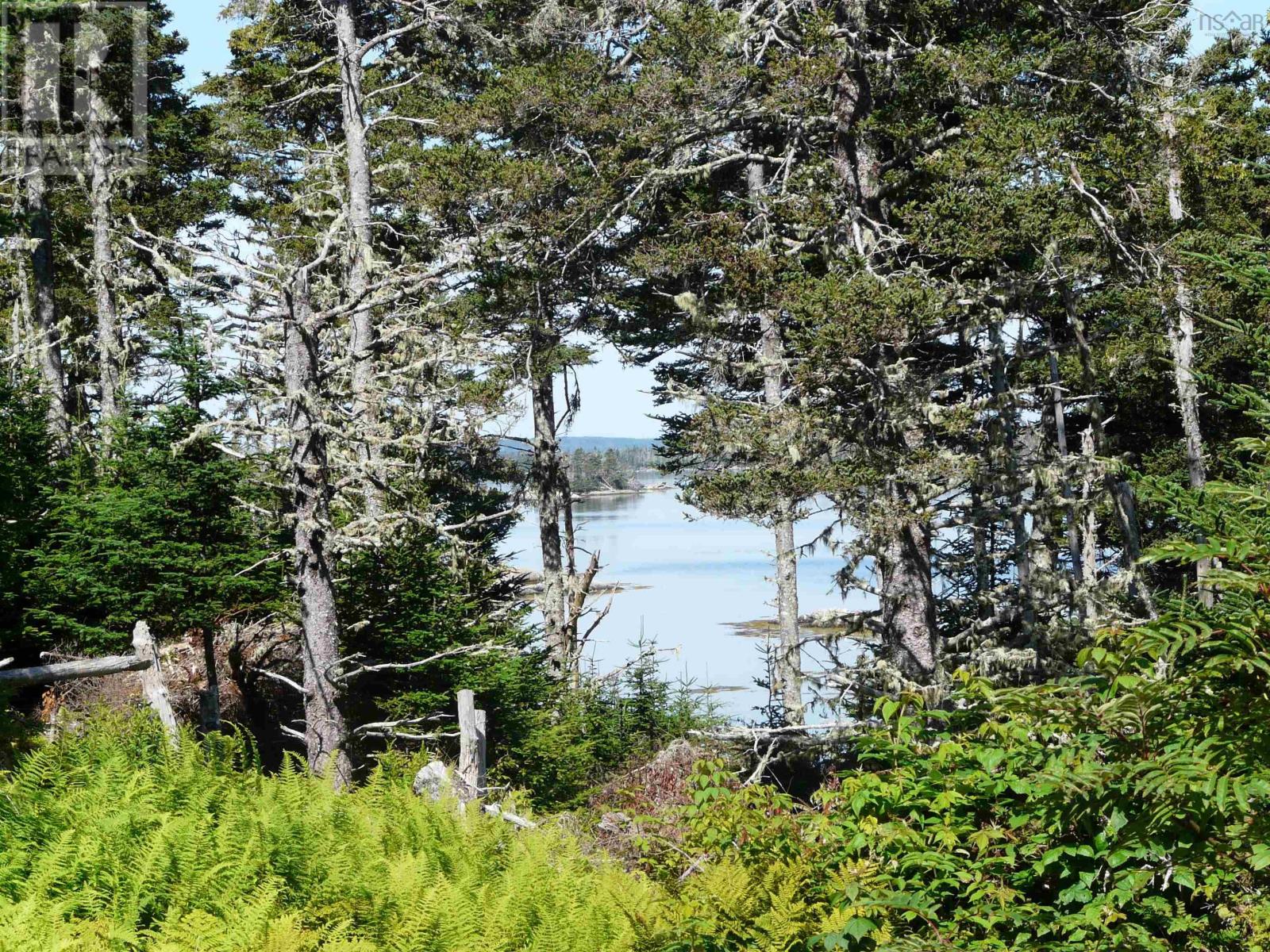 671 South Shore Road, Mitchell Bay, Nova Scotia  B0J 2K0 - Photo 27 - 202601376