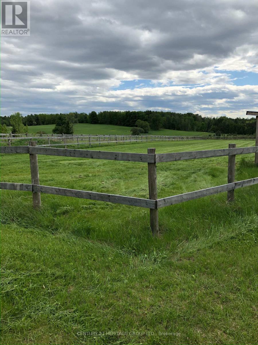 2010 15th Side Road, New Tecumseth, Ontario  L0G 1W0 - Photo 24 - N13096414