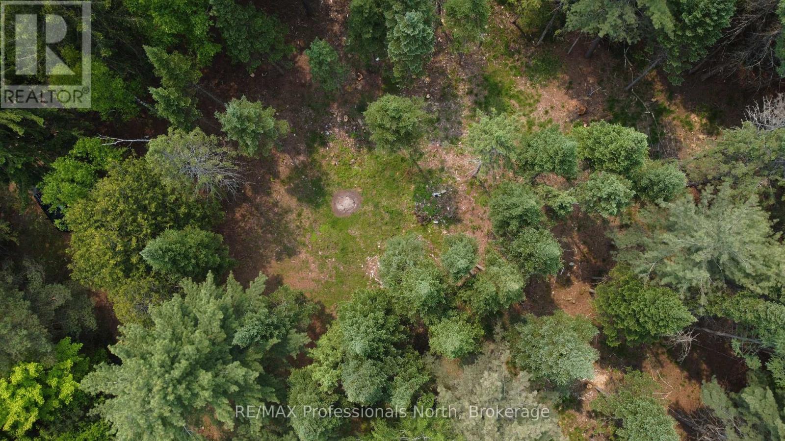 1897 Blairhampton Road, Minden Hills, Ontario  K0M 2K0 - Photo 22 - X13096576