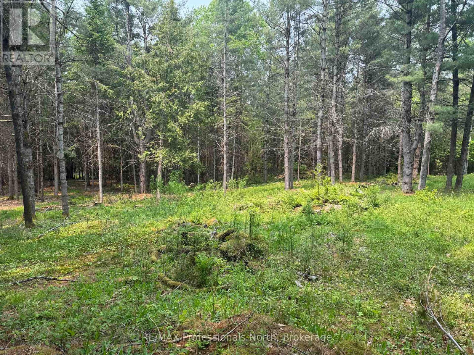 1897 Blairhampton Road, Minden Hills, Ontario  K0M 2K0 - Photo 11 - X13096576