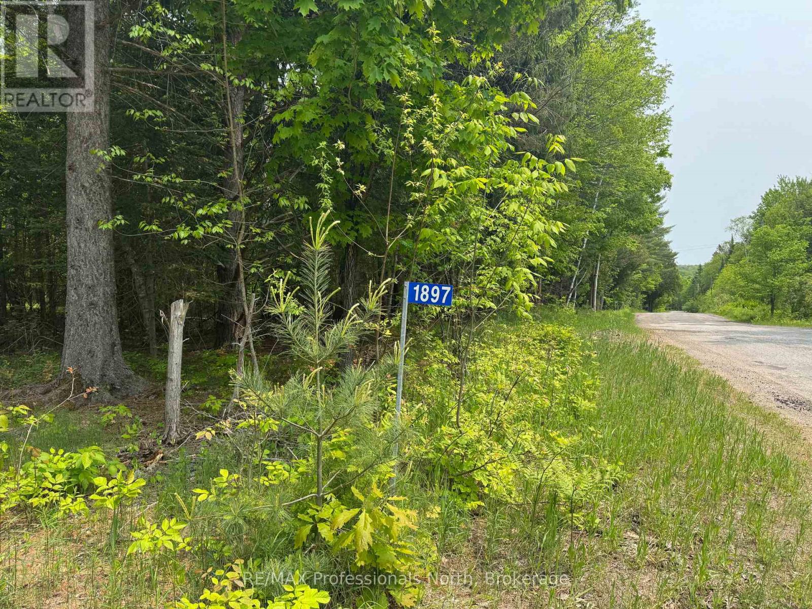 1897 Blairhampton Road, Minden Hills, Ontario  K0M 2K0 - Photo 3 - X13096576